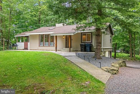 113 BIRCHWOOD ROAD BLAKESLEE PA 18610