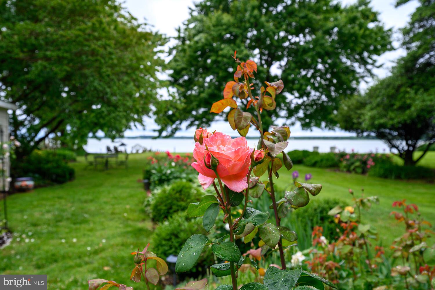 OXFORD - Residential