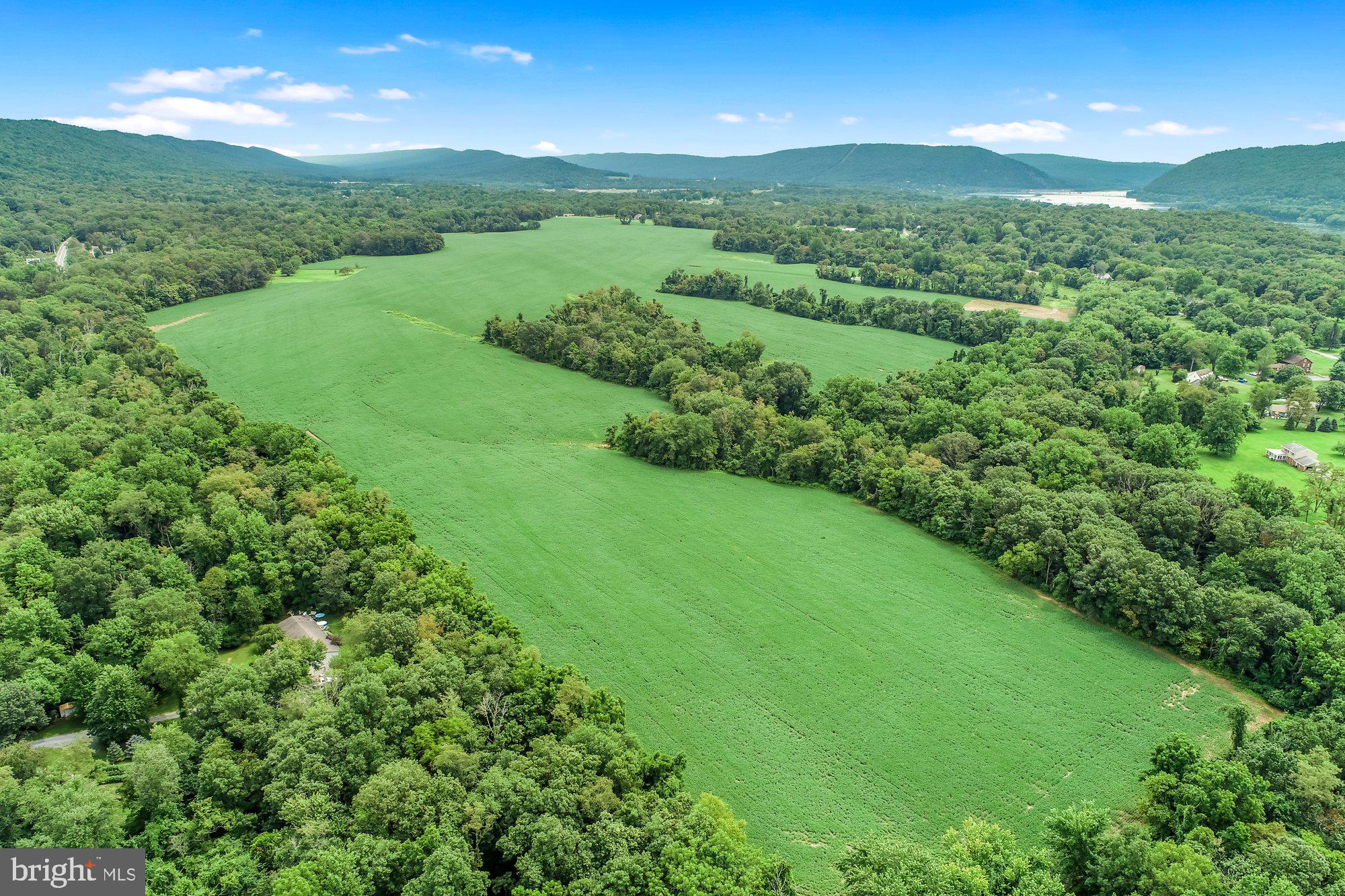 1517 RED HILL ROAD