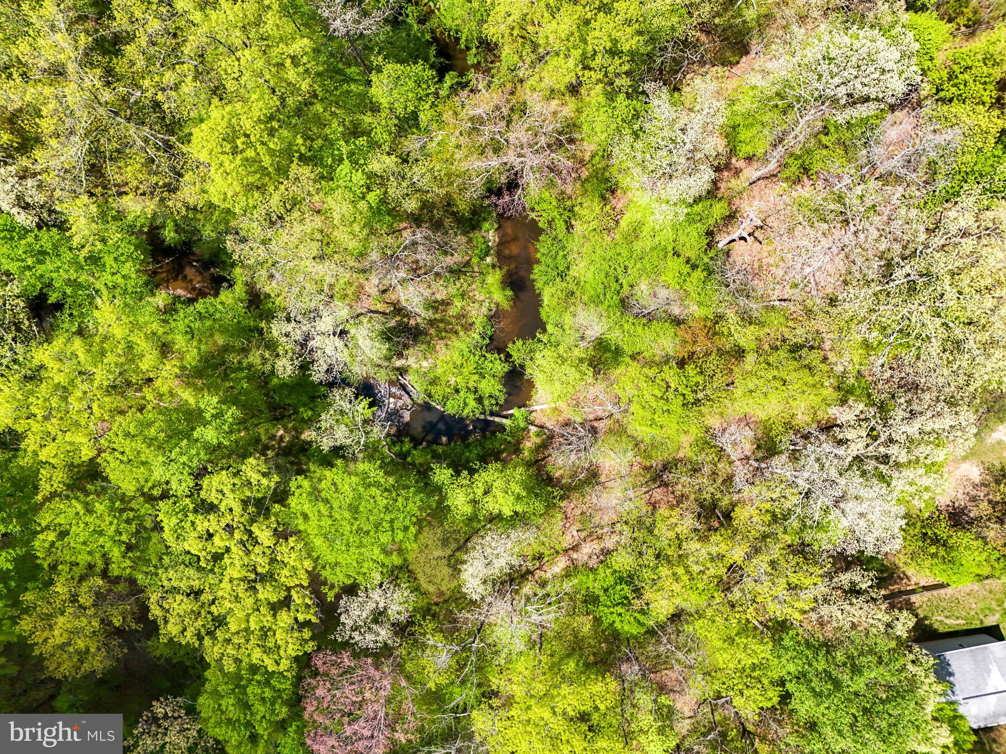 WINDSOR FOREST - Residential