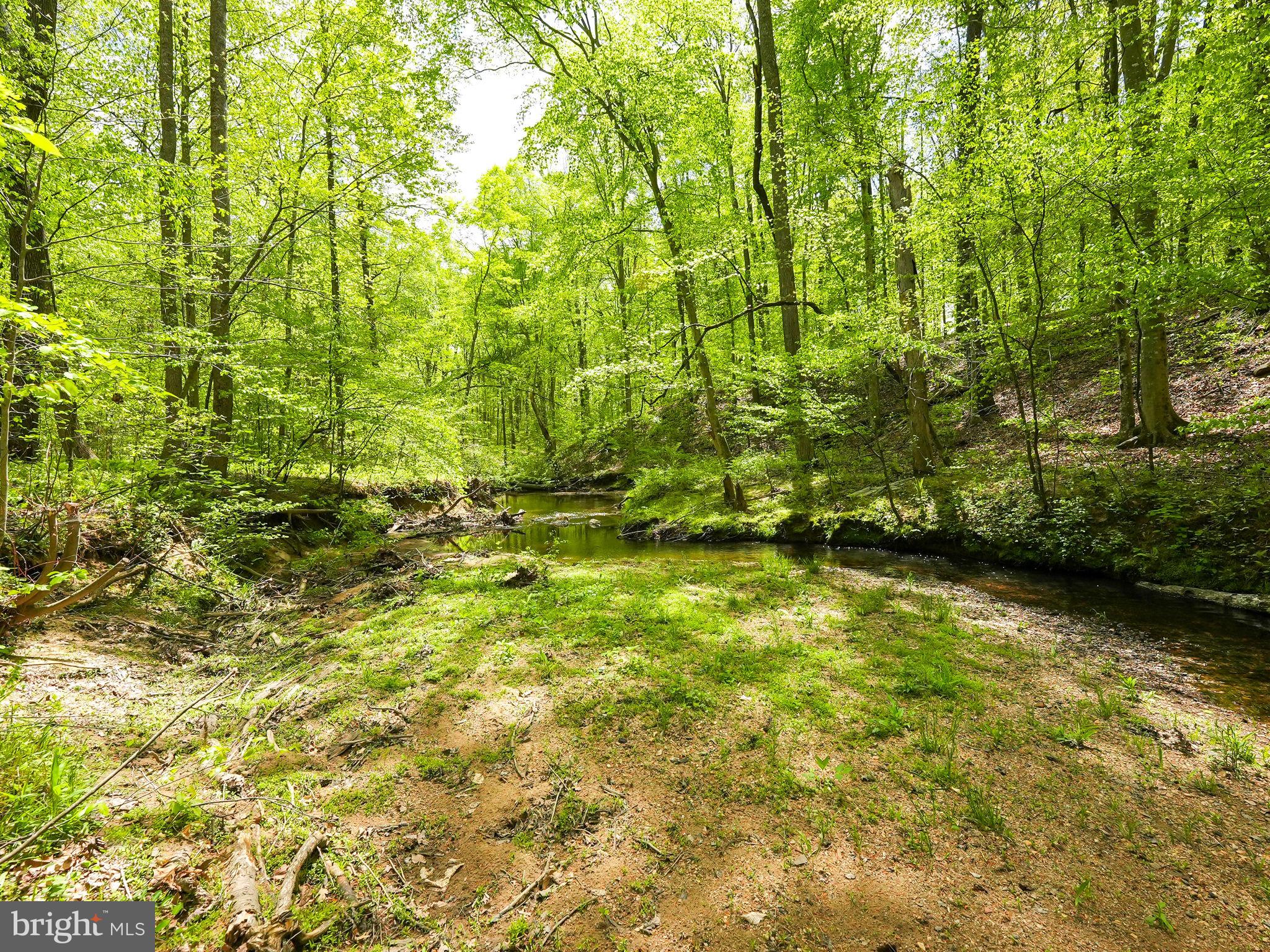 WINDSOR FOREST - Residential