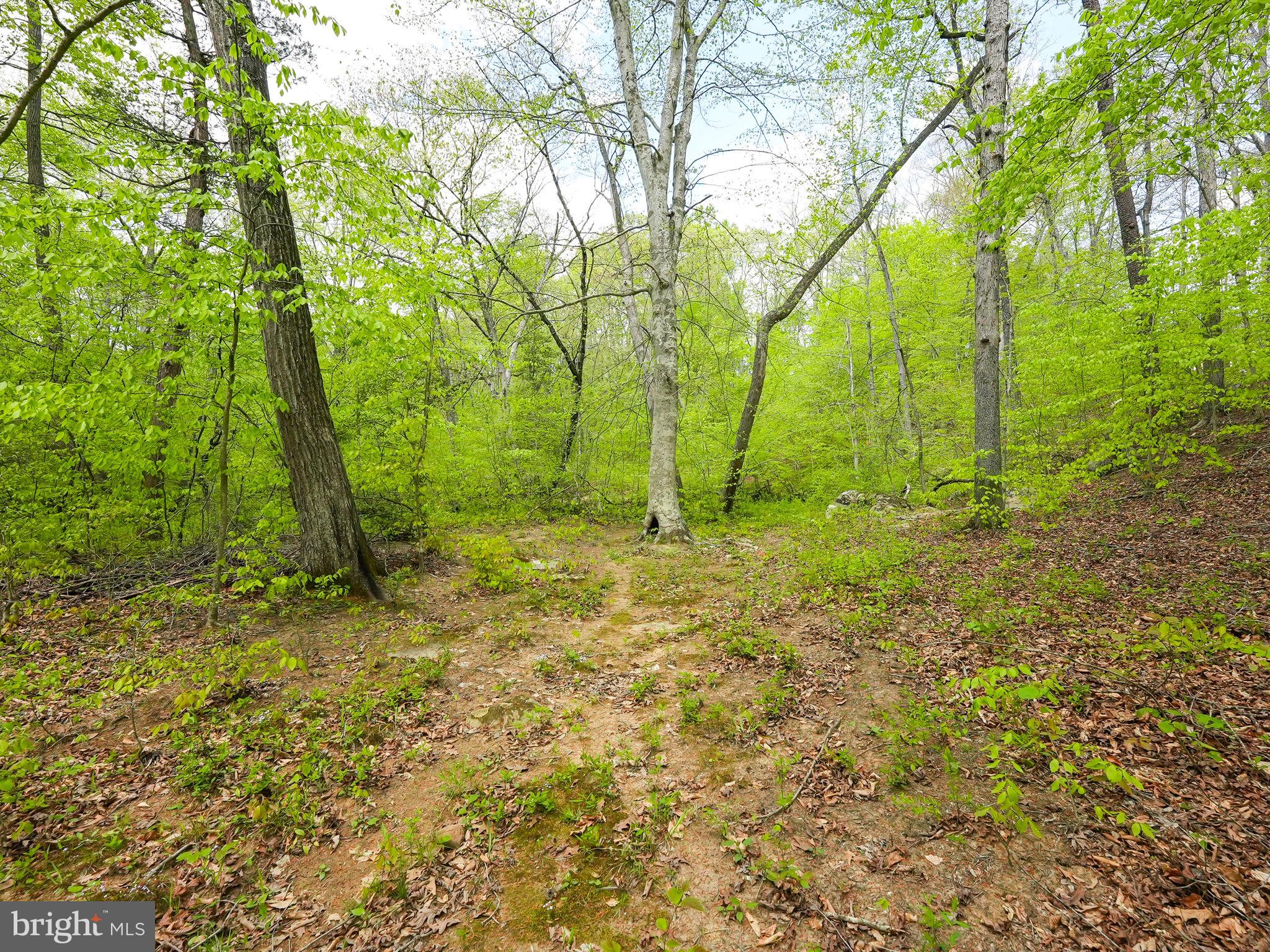 WINDSOR FOREST - Residential