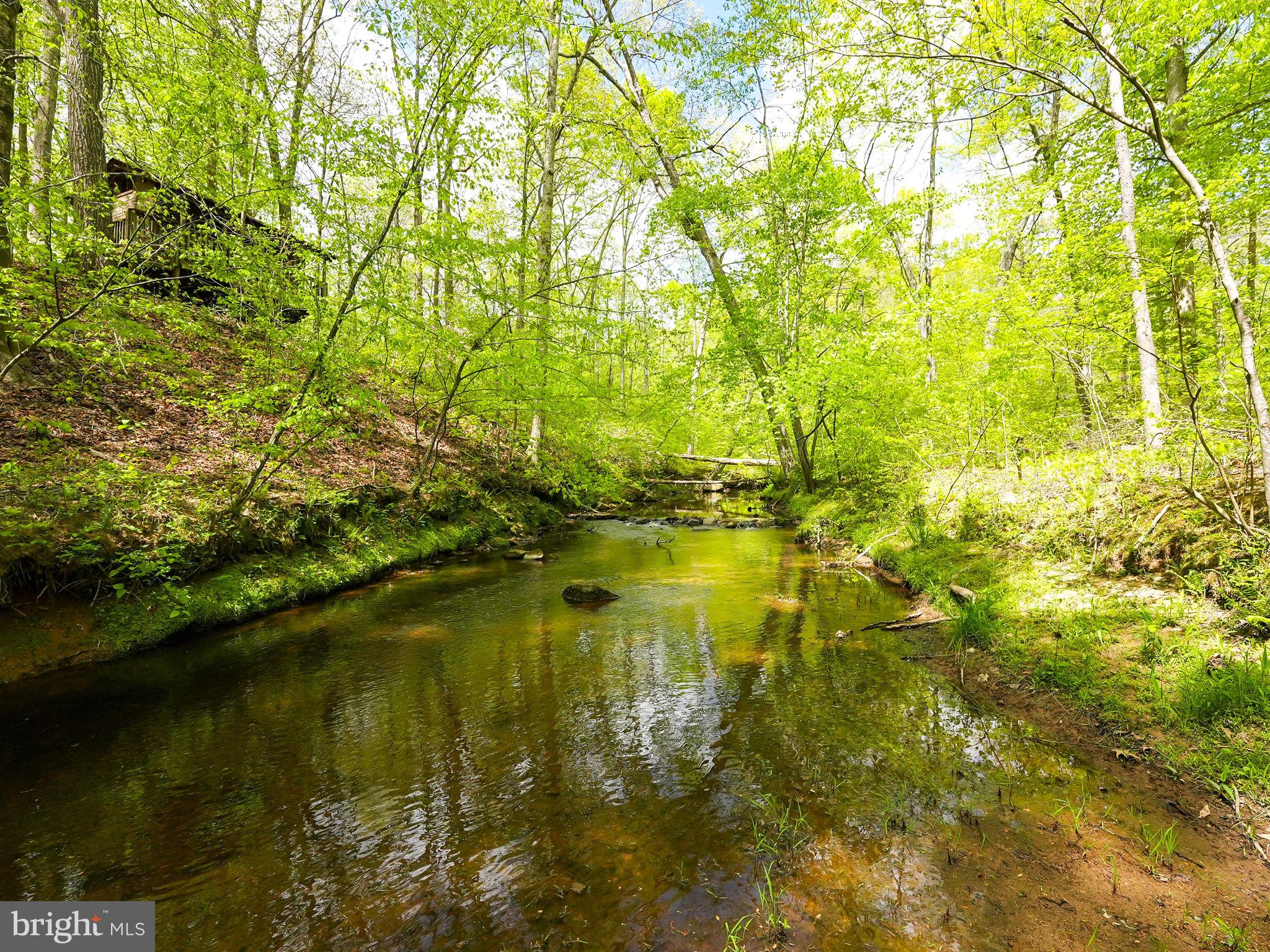 WINDSOR FOREST - Residential