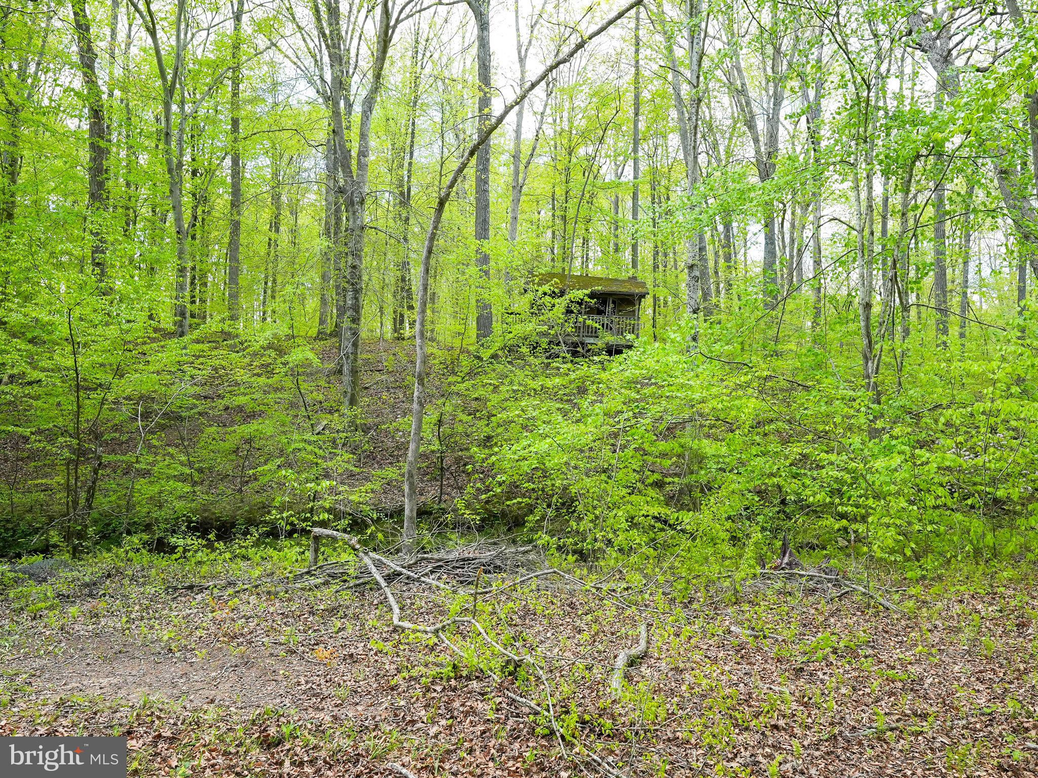 WINDSOR FOREST - Residential