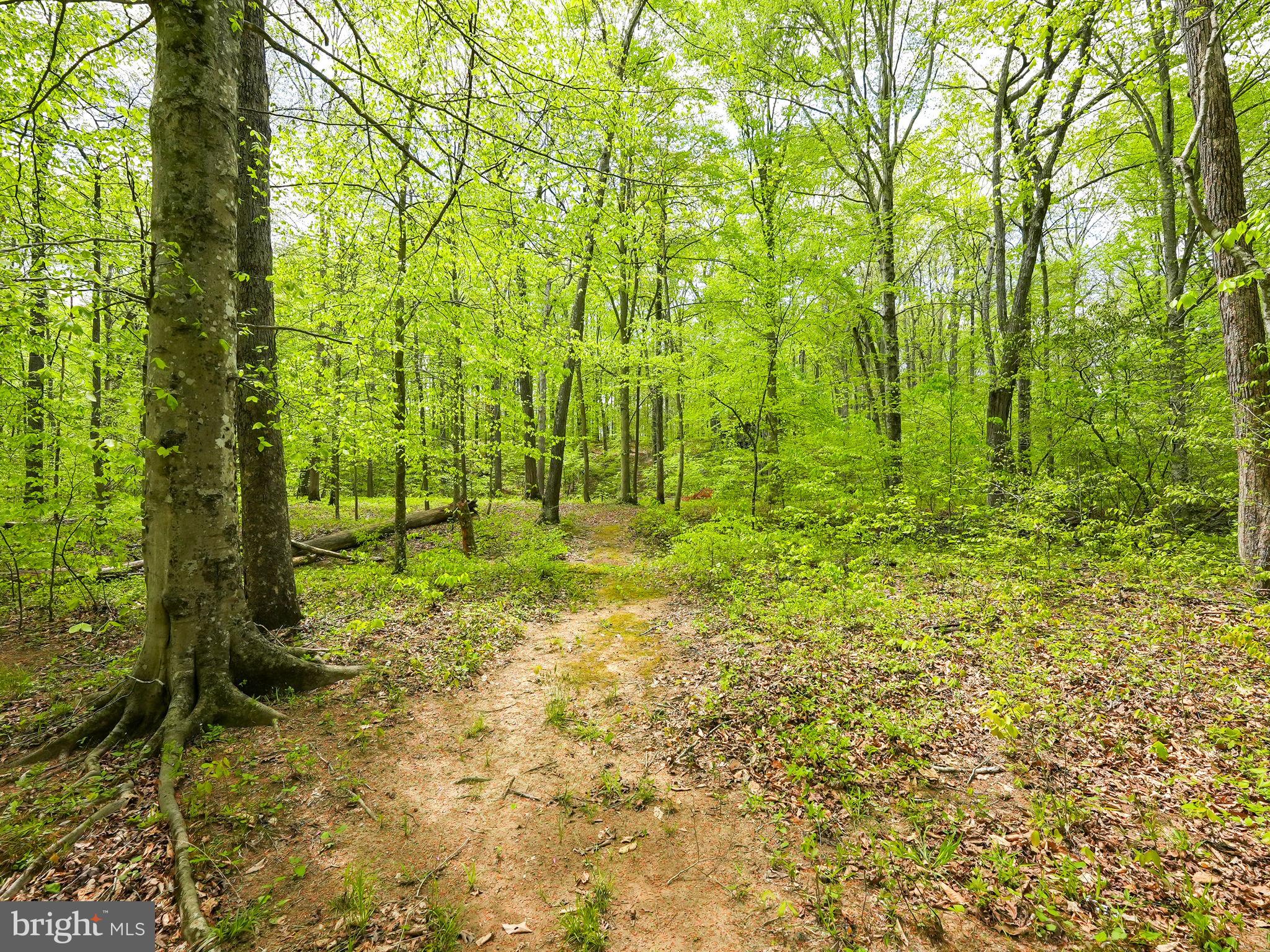 WINDSOR FOREST - Residential