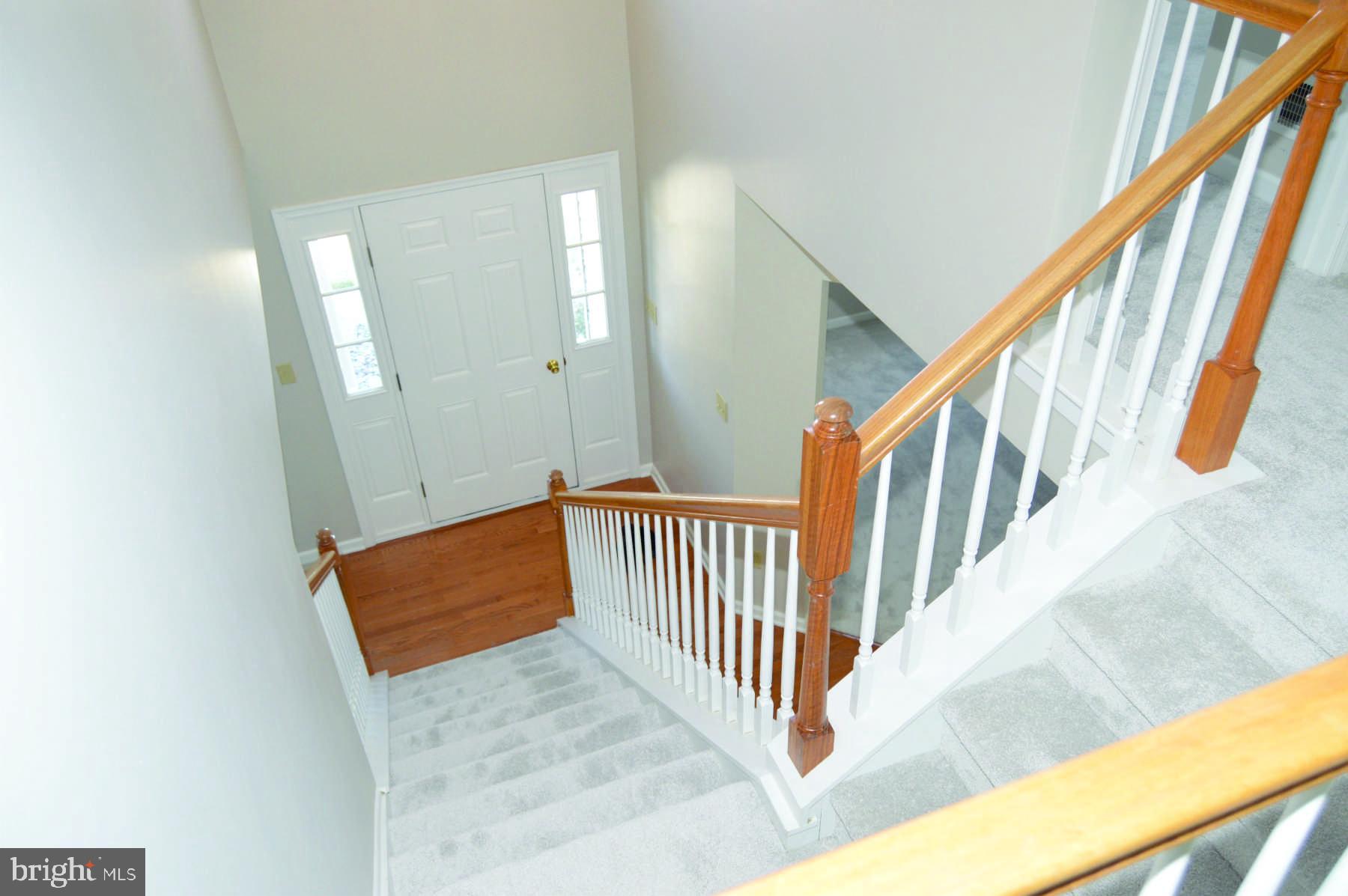 THE PINES - Residential