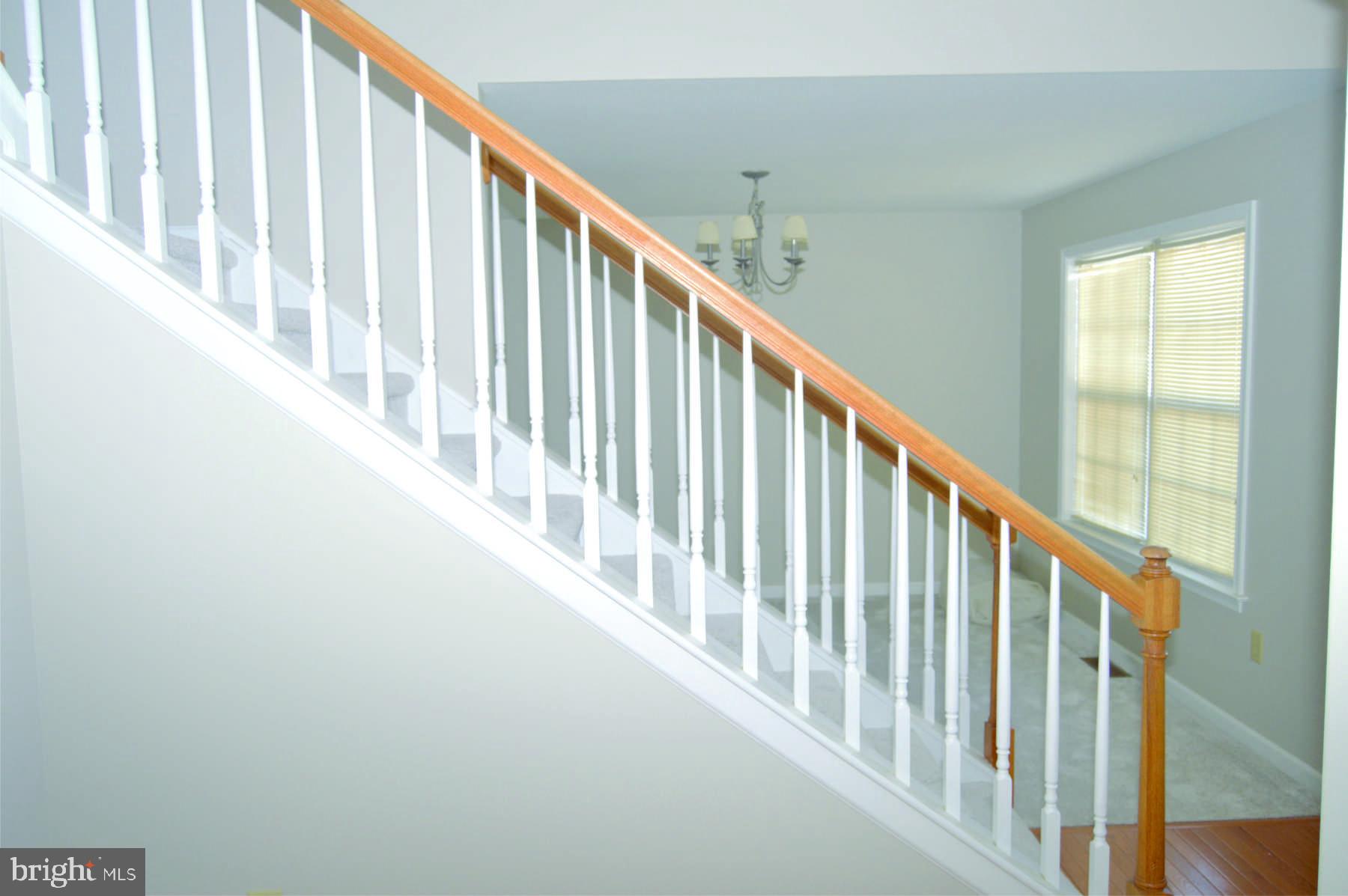 THE PINES - Residential