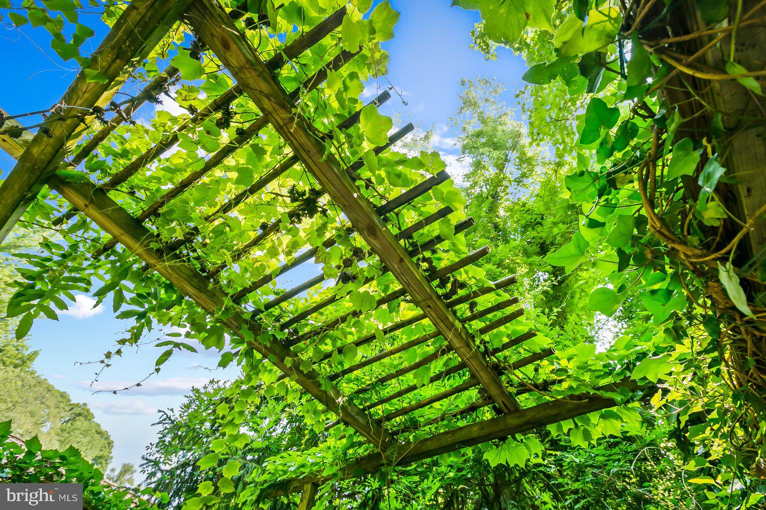 OVERLOOK - Residential