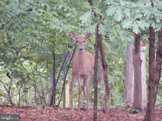CHESTER HARBOR - Residential