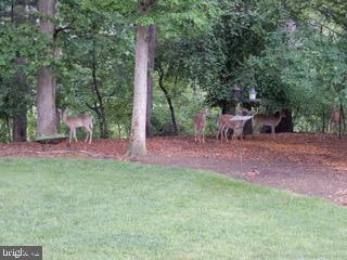 CHESTER HARBOR - Residential