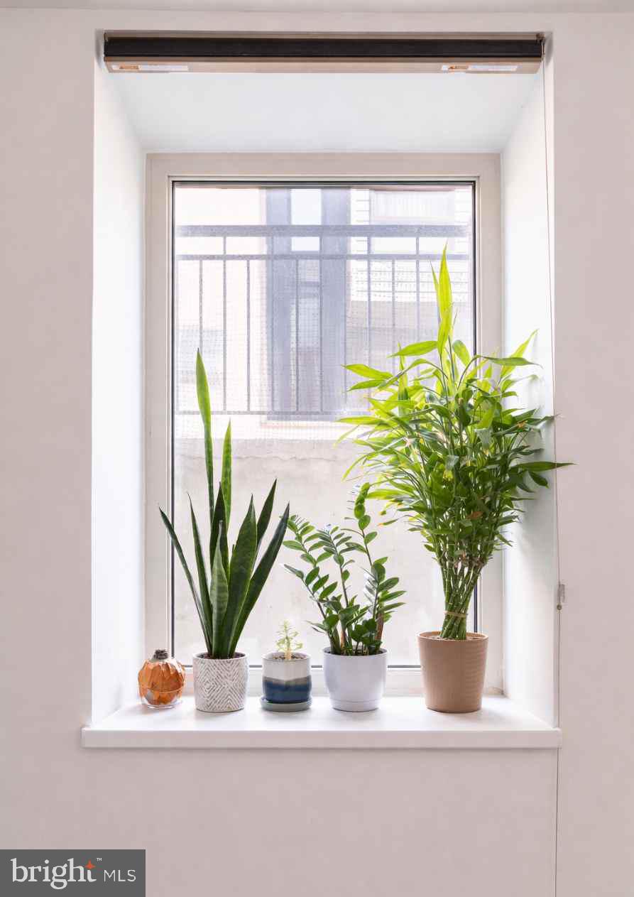 GRADUATE HOSPITAL - Residential