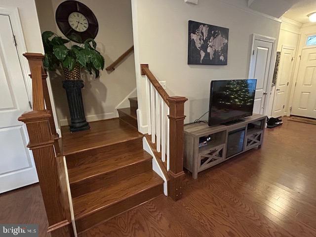 MAPLE LAWN - Residential Lease