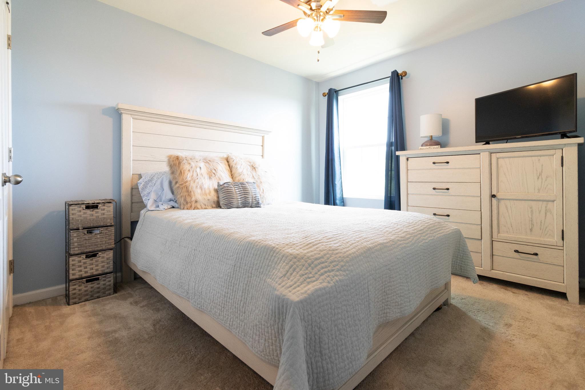 BLUE STREAM - Residential