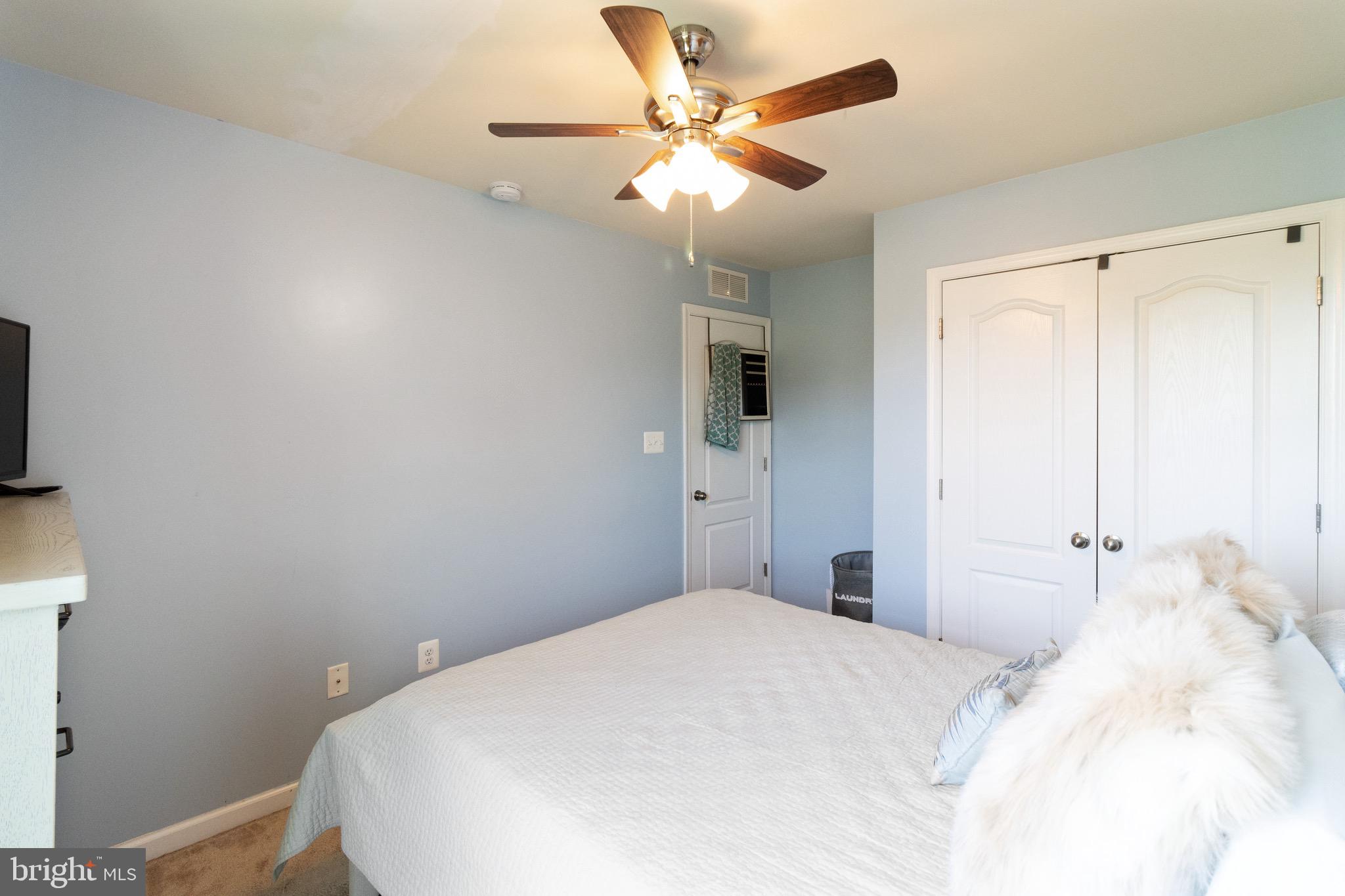 BLUE STREAM - Residential