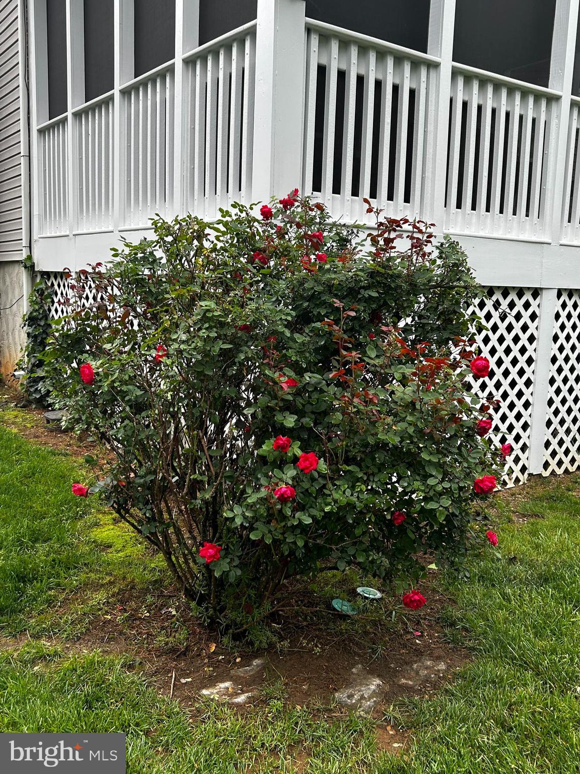 BATTLEFIELD ESTATES - Residential