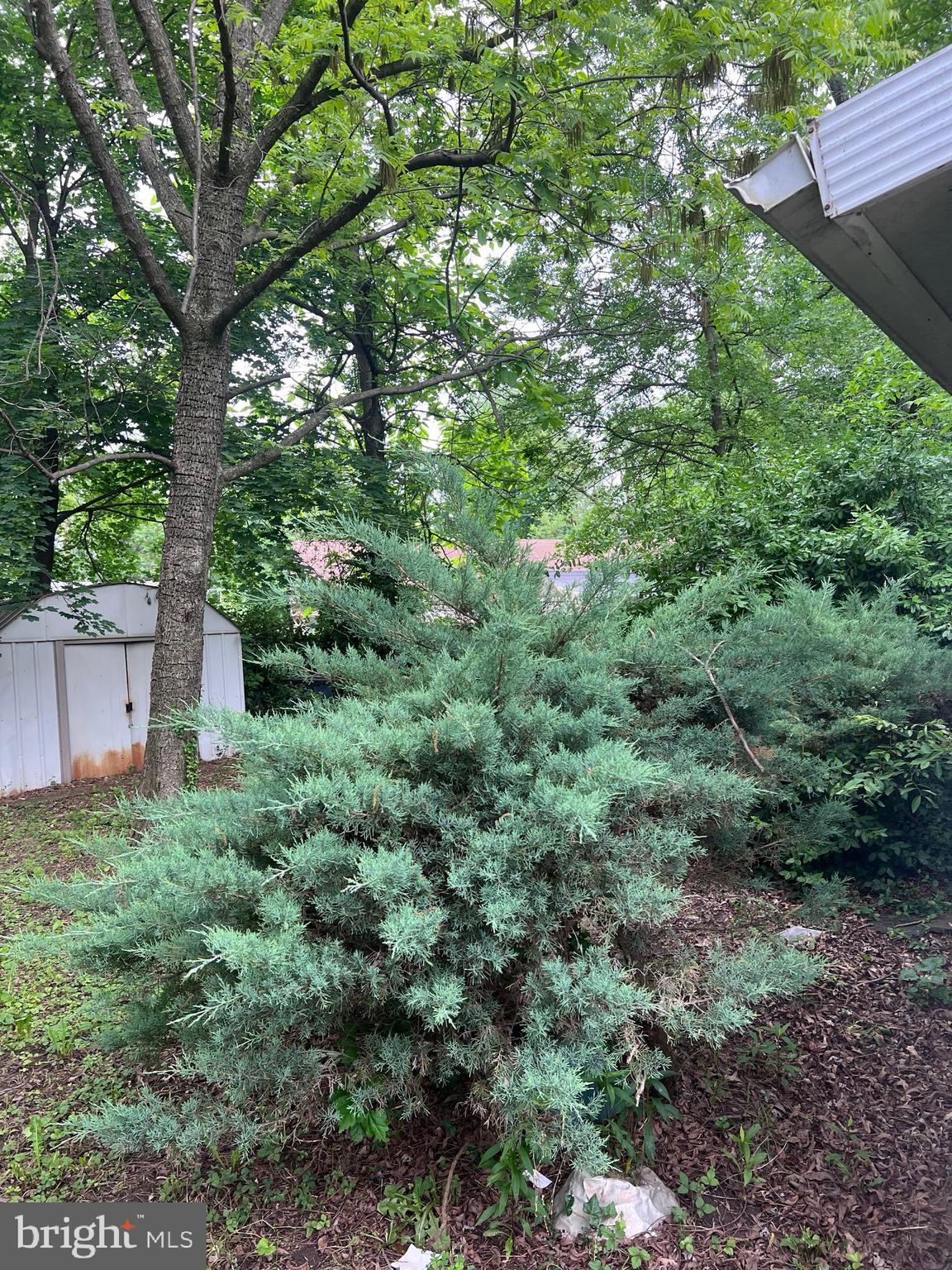 PALMER PARK - Residential