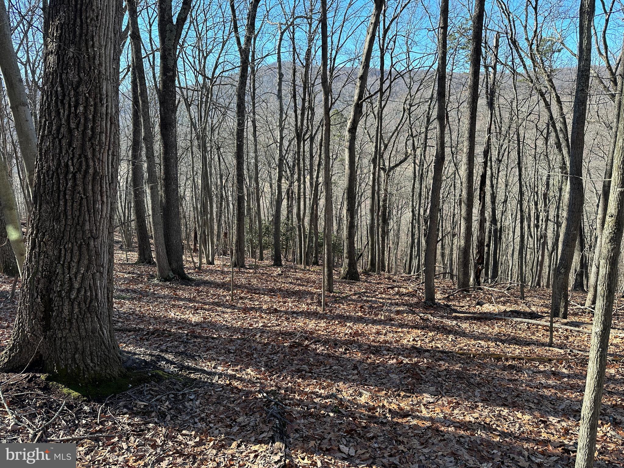 WALNUT BOTTOM HIDEAWAY - Land