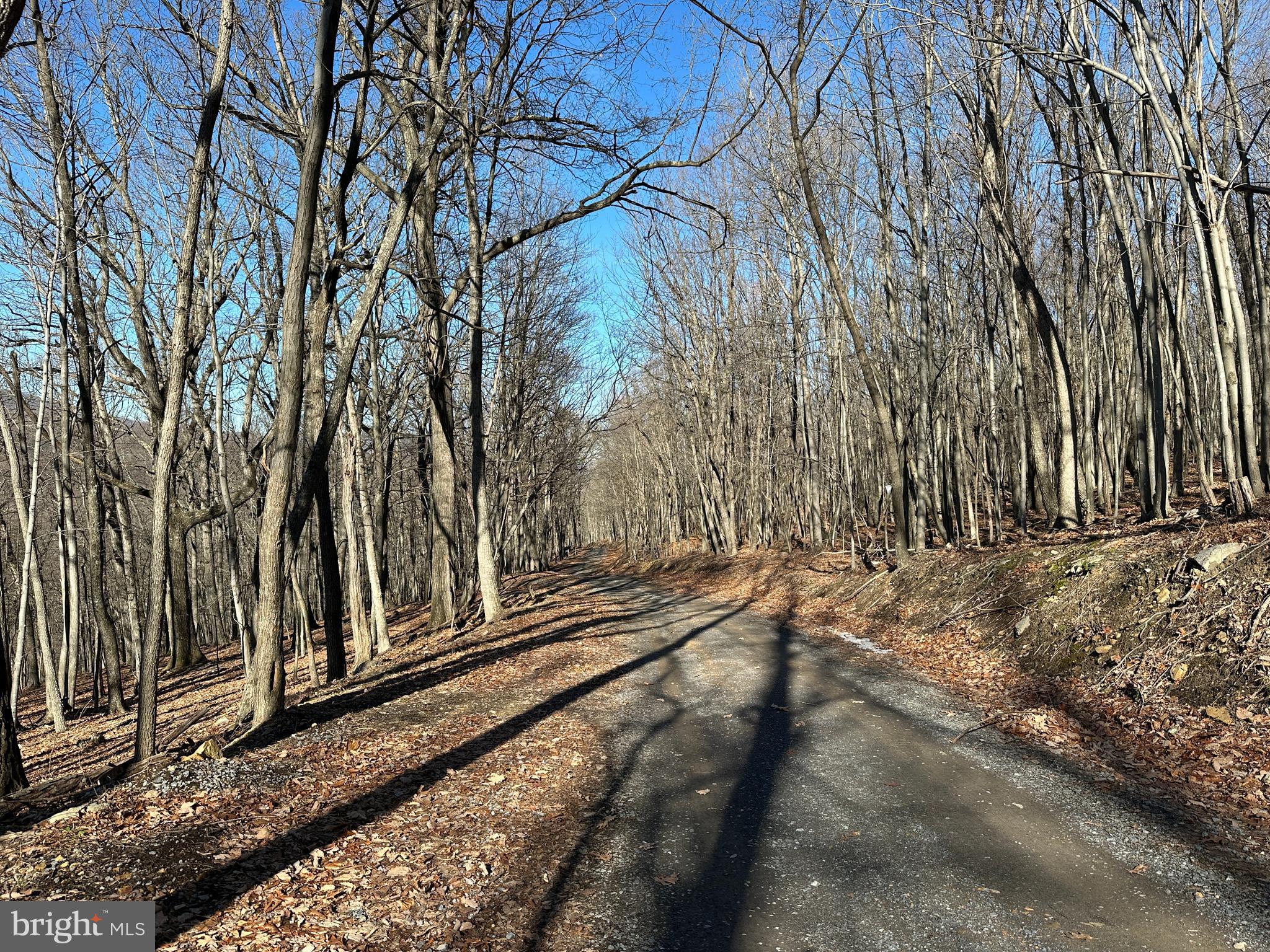 WALNUT BOTTOM HIDEAWAY - Land