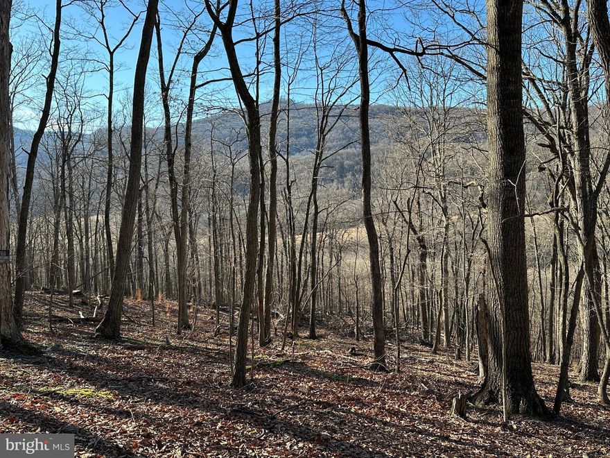 BIG BARGAIN ON BIG FOREST.....6 ACRES OF MASSIVE VIRGIN FOREST WITH BIG TIME VIEW AND BIG GAME SIGN.....THIS PROPERTY IS A BIG DEAL! LAND LAYS ON WESTERN SLOPE OF MOUNTAIN, IT'S ALL HILLSIDE BUT NOT STEEP. TOWERING OAKS, HUGE MAPLE AND SOME MOUNTAIN LAUREL COVER THIS STUNNING FOREST. FIBER INTERNET ON THE PROPERTY! IF YOU'VE BEEN ON THE HUNT FOR A CHEAP HUNTING PROPERTY, THIS IS IT! GOOD SURVEY WITH CLEARLY MARKED PROPERTY LINES. OLDER DEVELOPMENT WITH MINIMAL RESTRICTIONS AND FEES. HUNT, CAMP, SHOOT, ATV'S, MOBILE HOME, TINY HOME, BIG HOME.....IT DOESN'T MATTER! GET THAT DEEP WOODS FEELING, YET ONLY 10 MINUTES OFF 4 LANE HIGHWAY AND 15 MINUTES FROM MOOREFIELD. LESS THAN 45 MINUTES TO MULTIPLE WEST VIRGINIA WONDERS: CANAAN VALLEY, BLACKWATER FALLS, DOLLY SODS, SENECA ROCKS, SMOKEHOLE CAVERNS, VEPCO LAKE AND WORLD CLASS TROUT STREAMS. THE PERFECT BASE CAMP TO HAVE THE GREAT OUTDOORS AT YOUR FINGERTIPS! EASY & BEAUTIFUL 2 HOUR RIDE FROM NORTHERN VIRGINIA. HANDS DOWN THE BEST BANG FOR YOUR BUCK IN THE POTOMAC HIGHLANDS UNDER 30K!