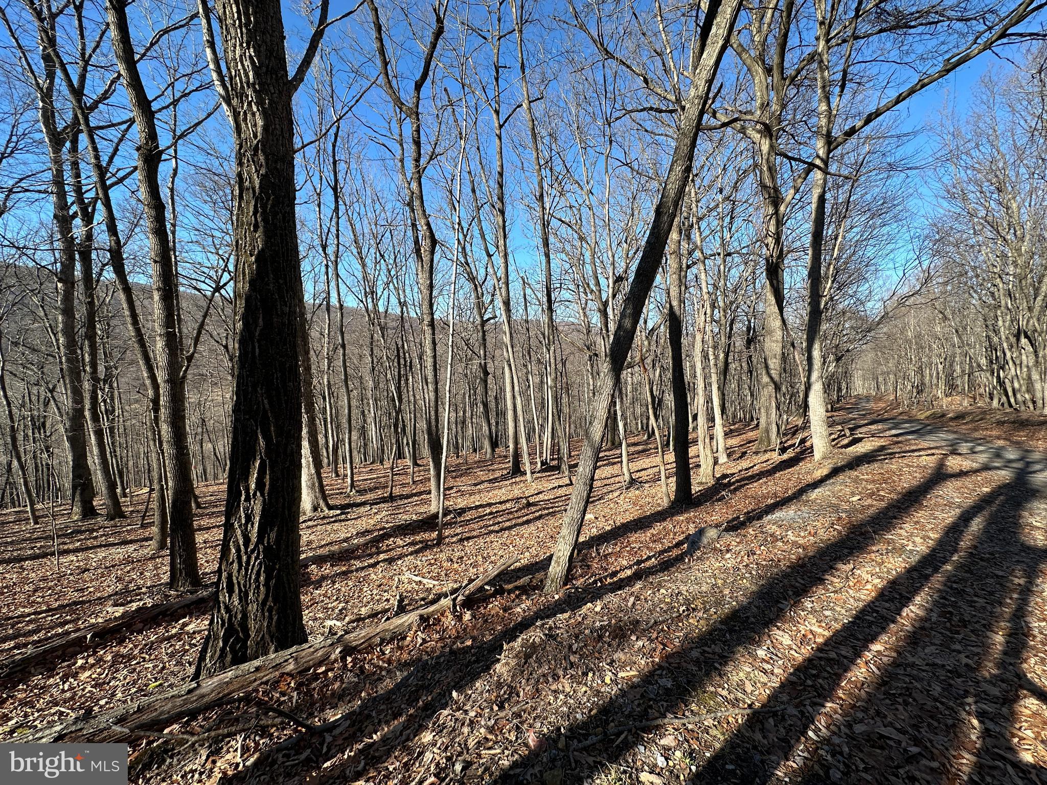 WALNUT BOTTOM HIDEAWAY - Land