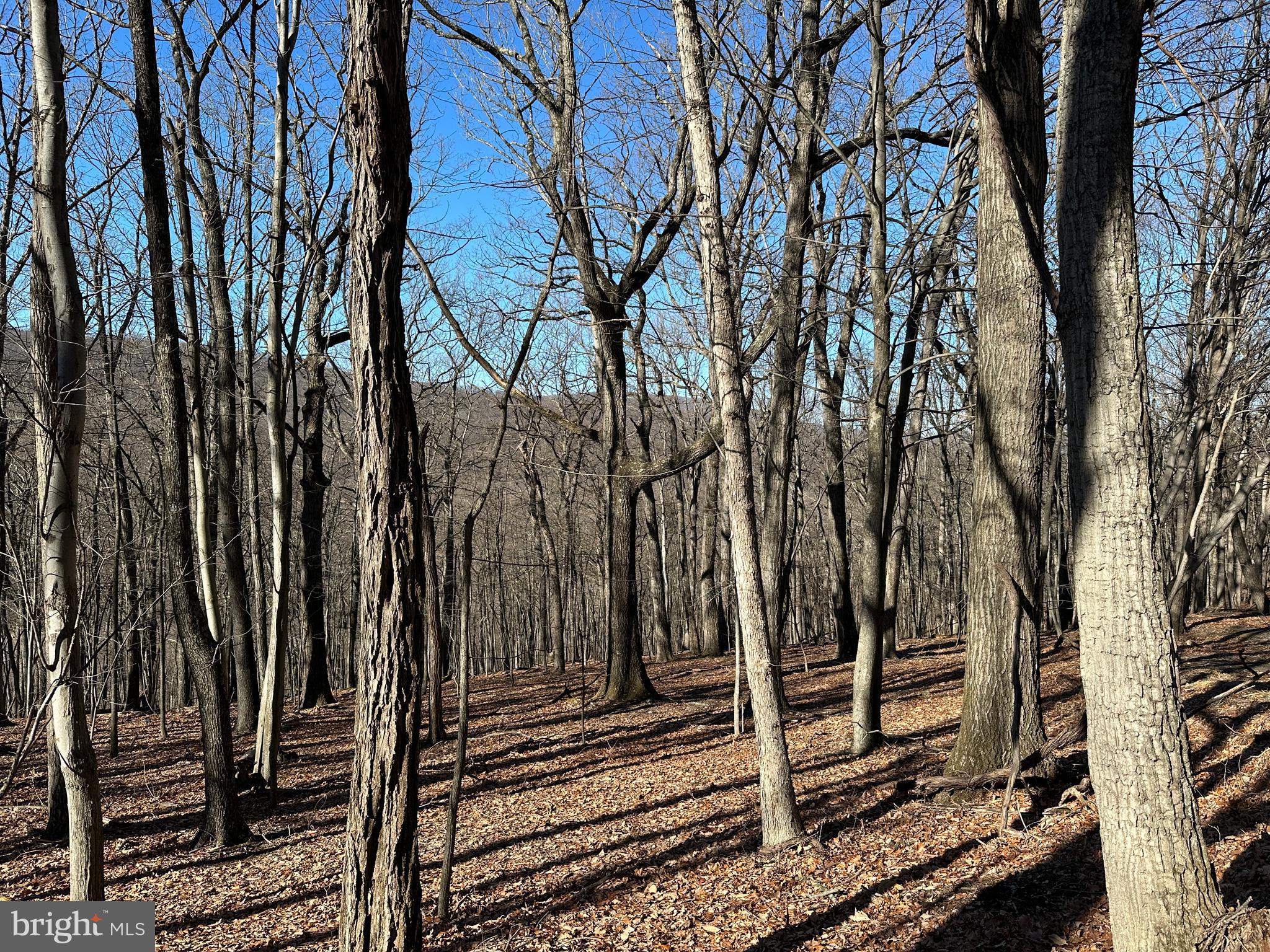 WALNUT BOTTOM HIDEAWAY - Land