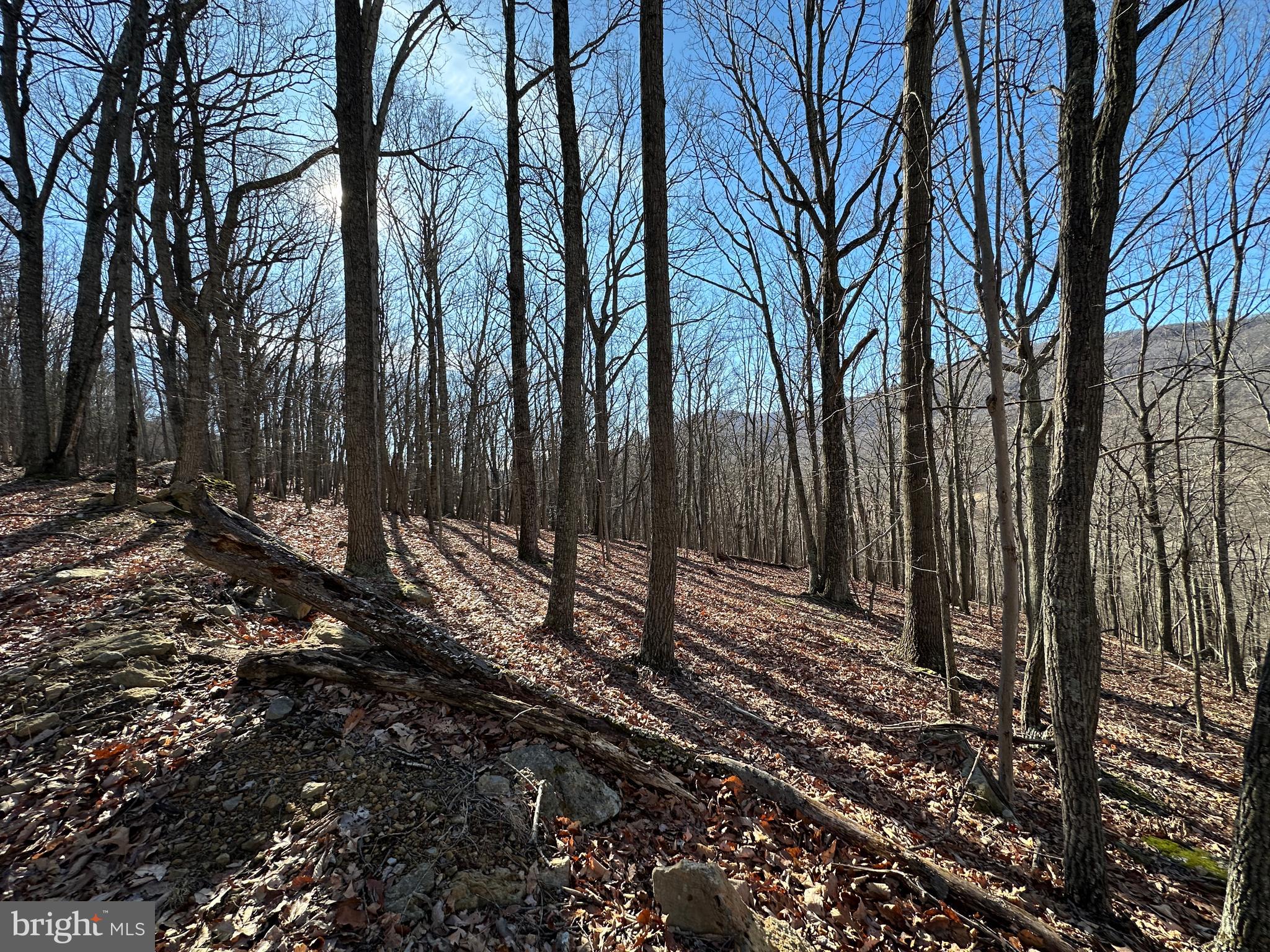 WALNUT BOTTOM HIDEAWAY - Land