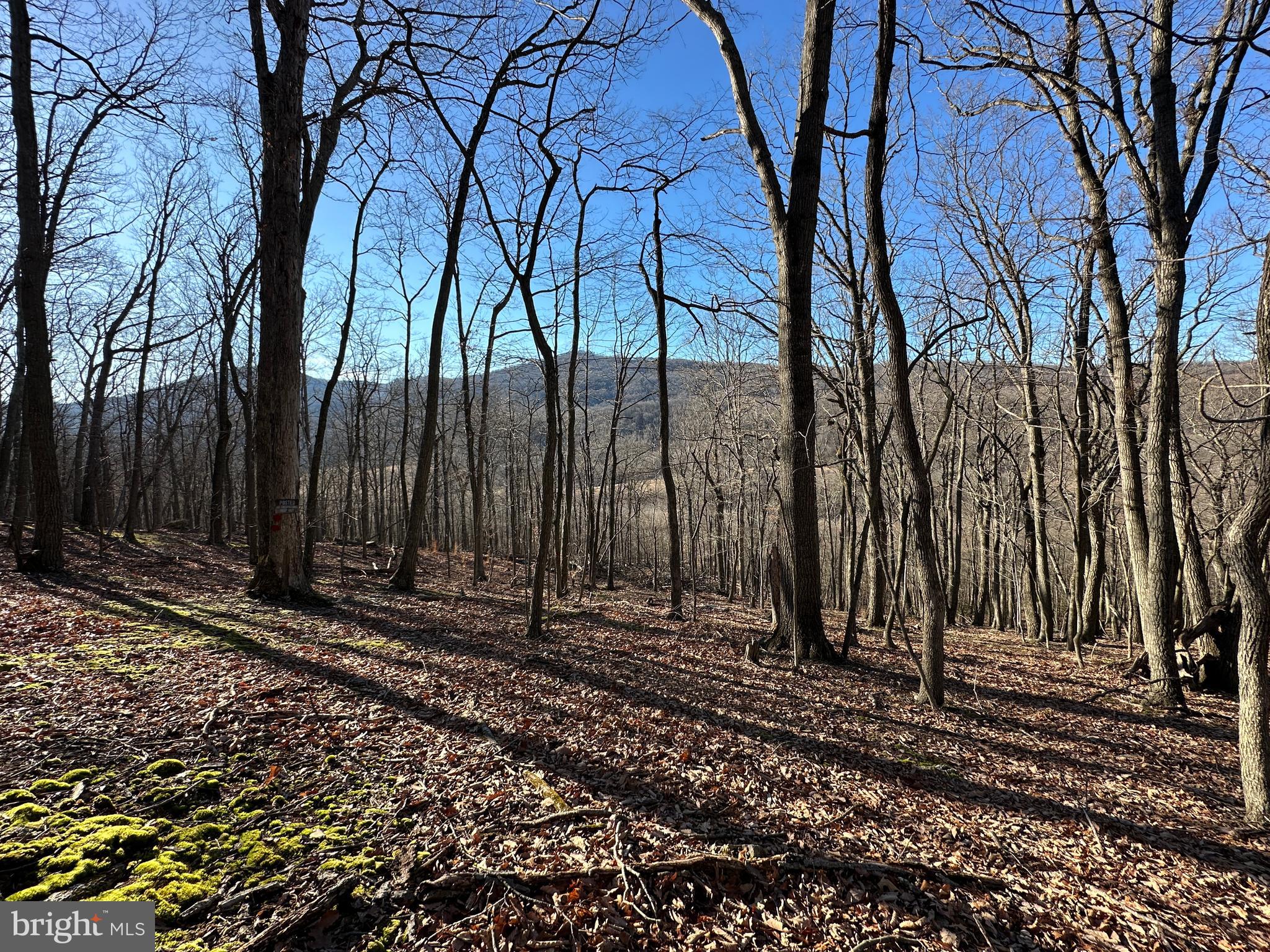 12 WALNUT BOTTOM HIDEAWAY