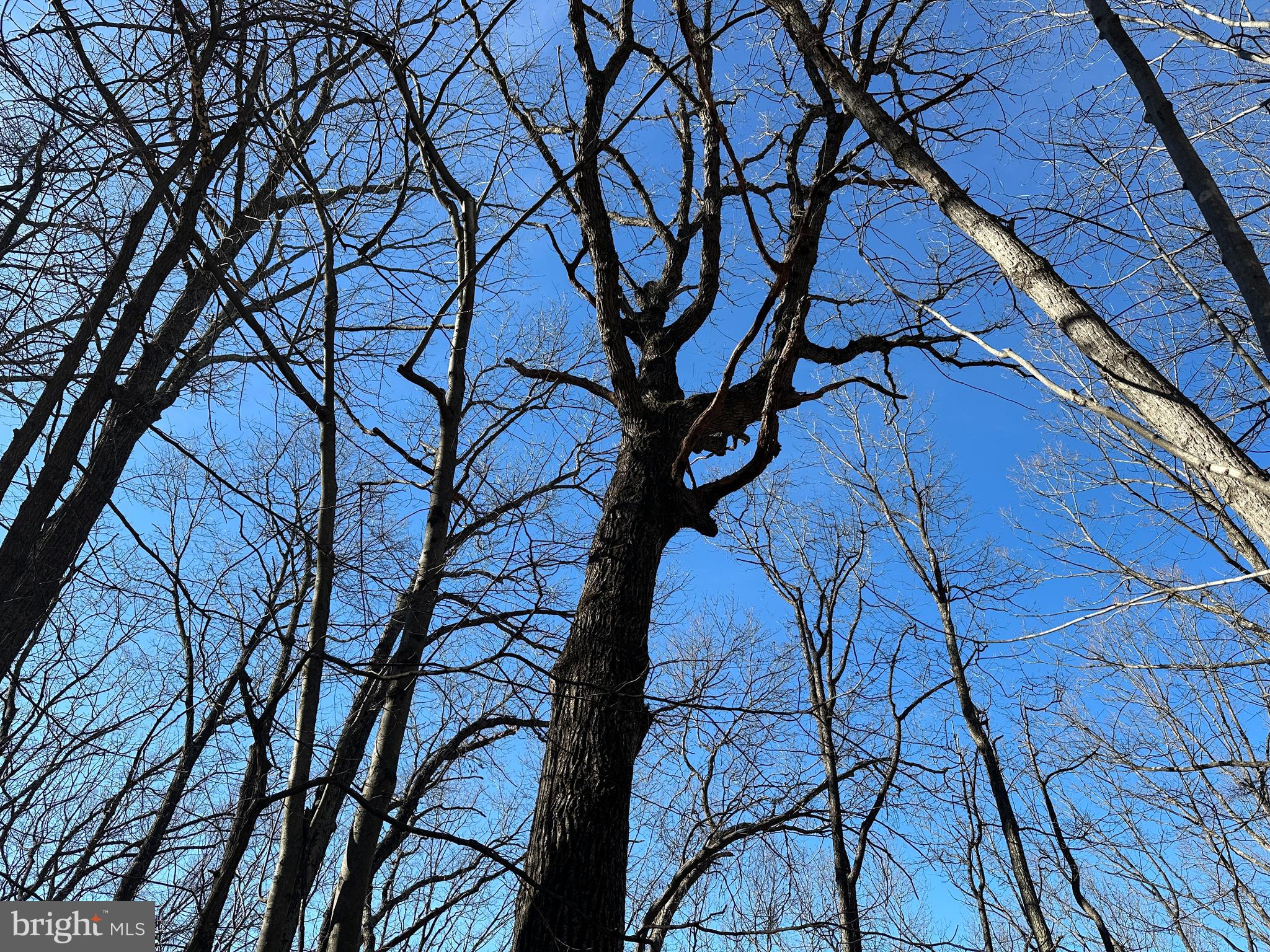 WALNUT BOTTOM HIDEAWAY - Land