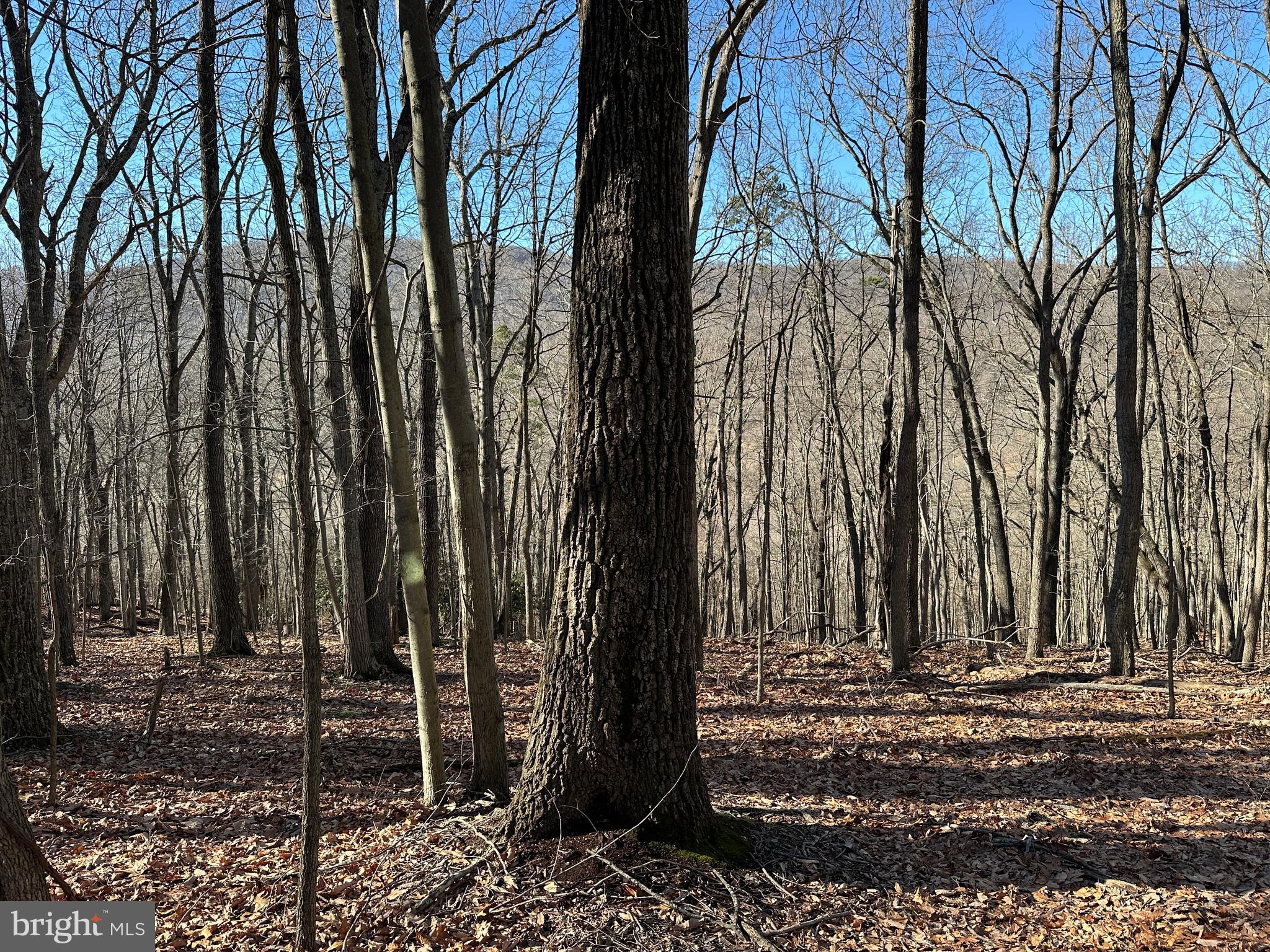 WALNUT BOTTOM HIDEAWAY - Land