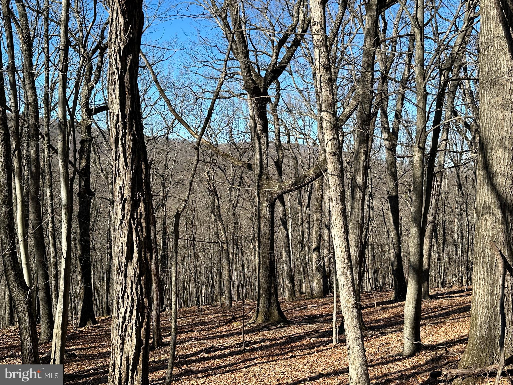 WALNUT BOTTOM HIDEAWAY - Land