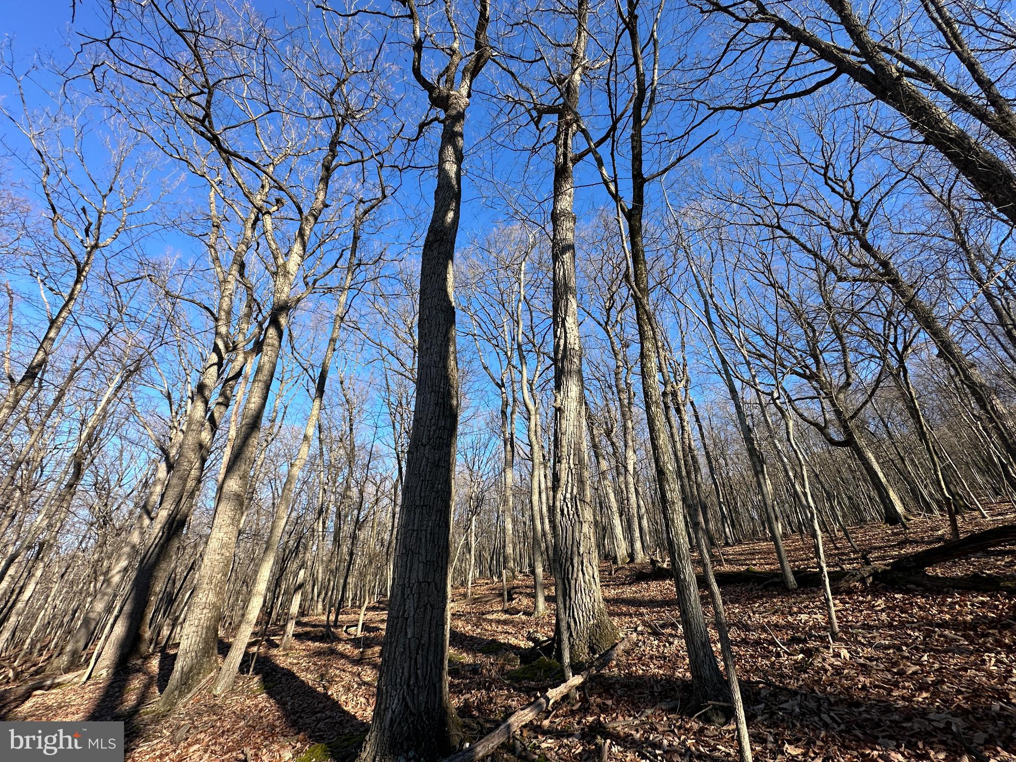 WALNUT BOTTOM HIDEAWAY - Land