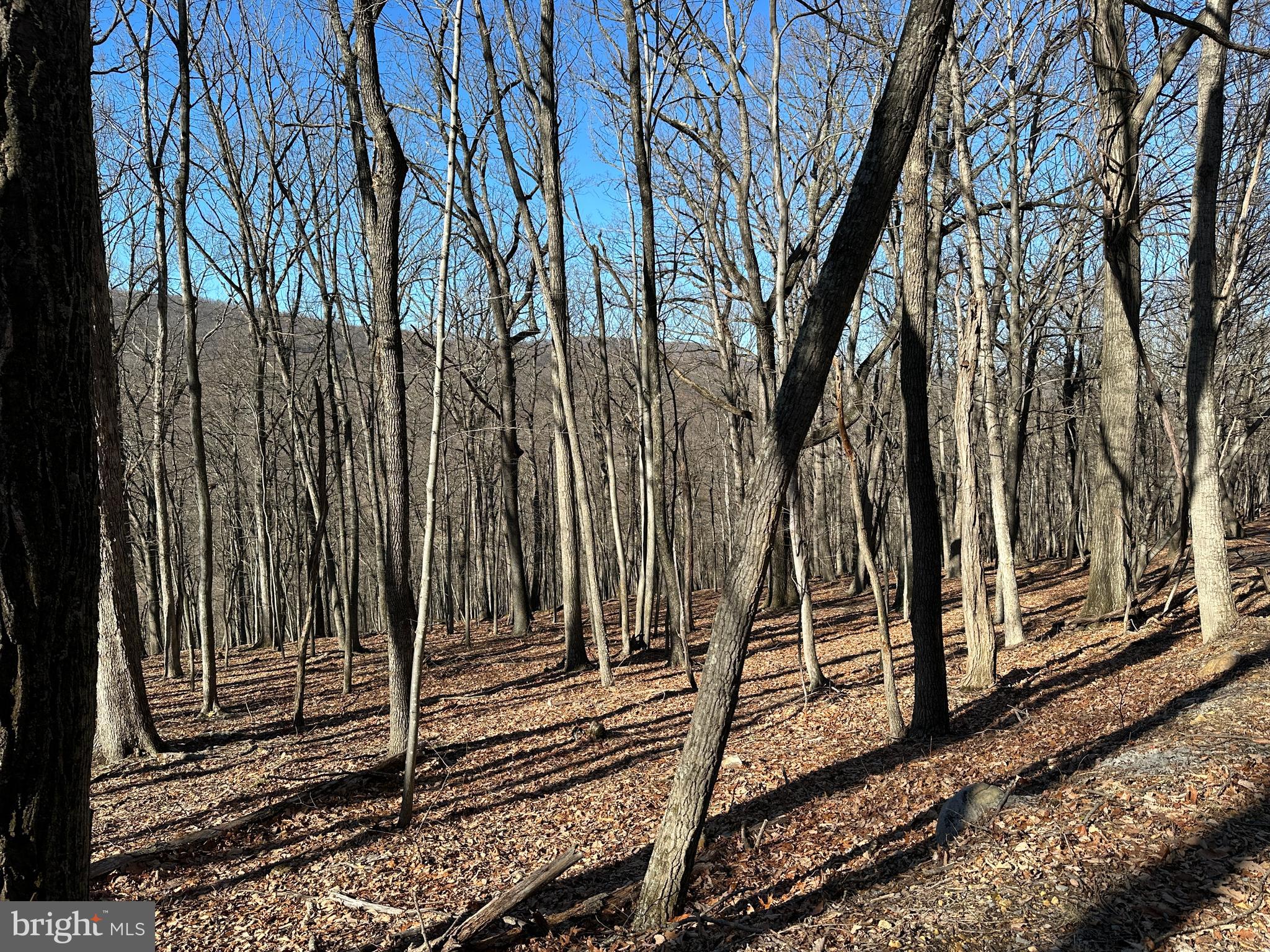 WALNUT BOTTOM HIDEAWAY - Land