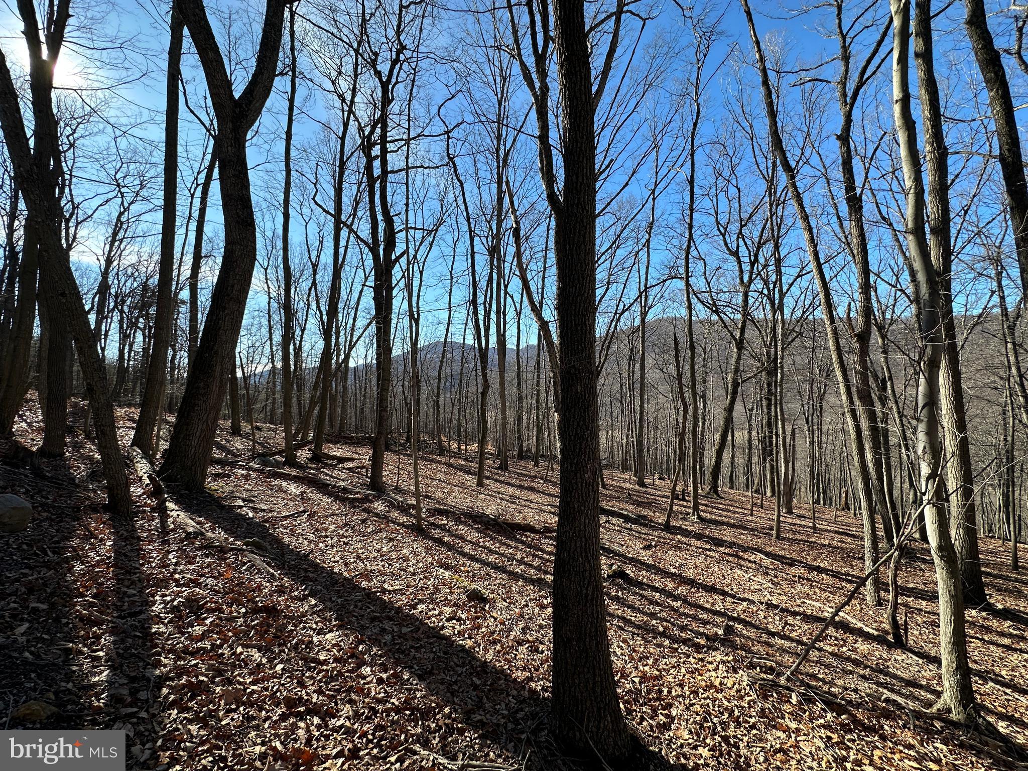 WALNUT BOTTOM HIDEAWAY - Land
