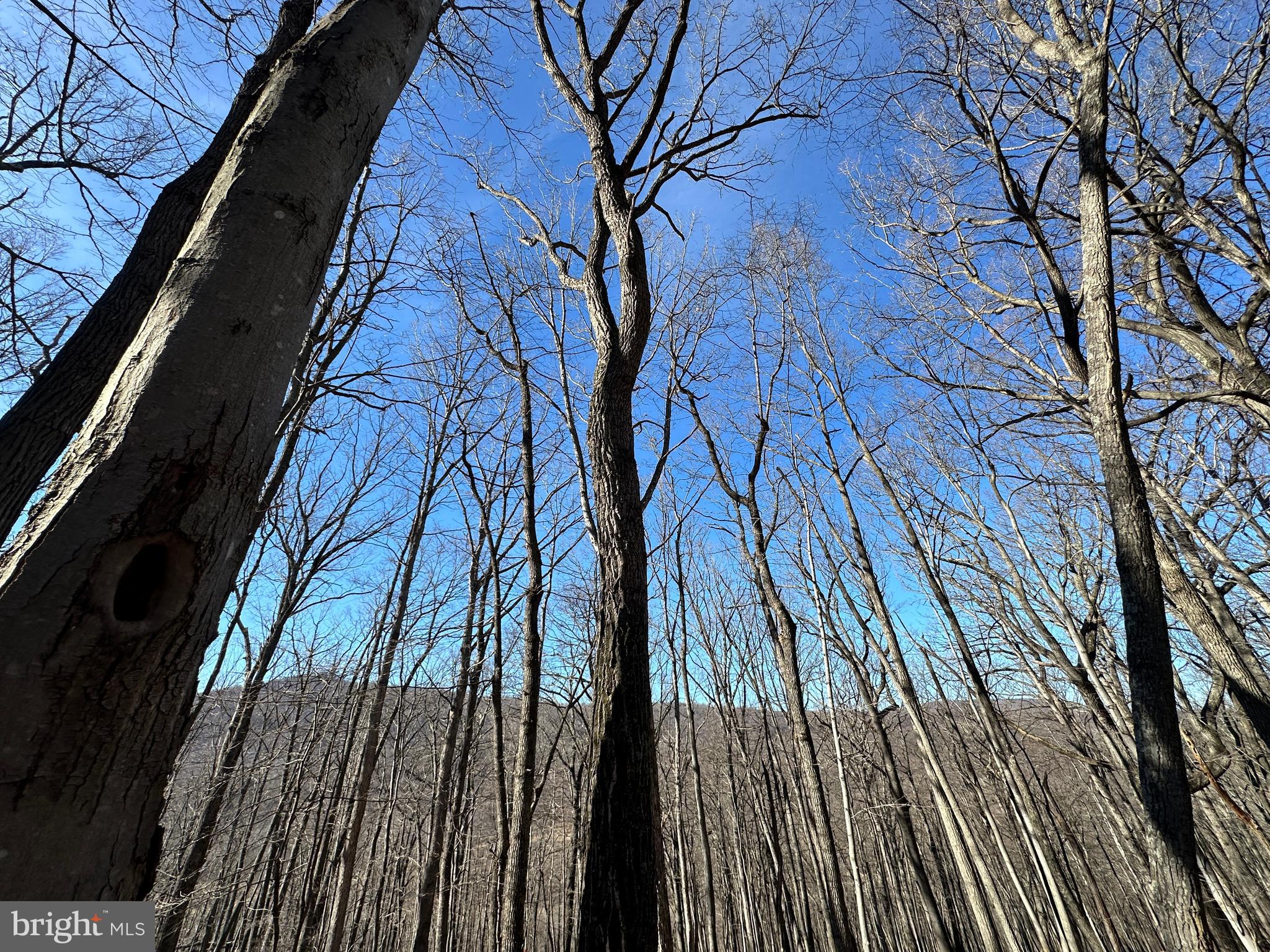 WALNUT BOTTOM HIDEAWAY - Land