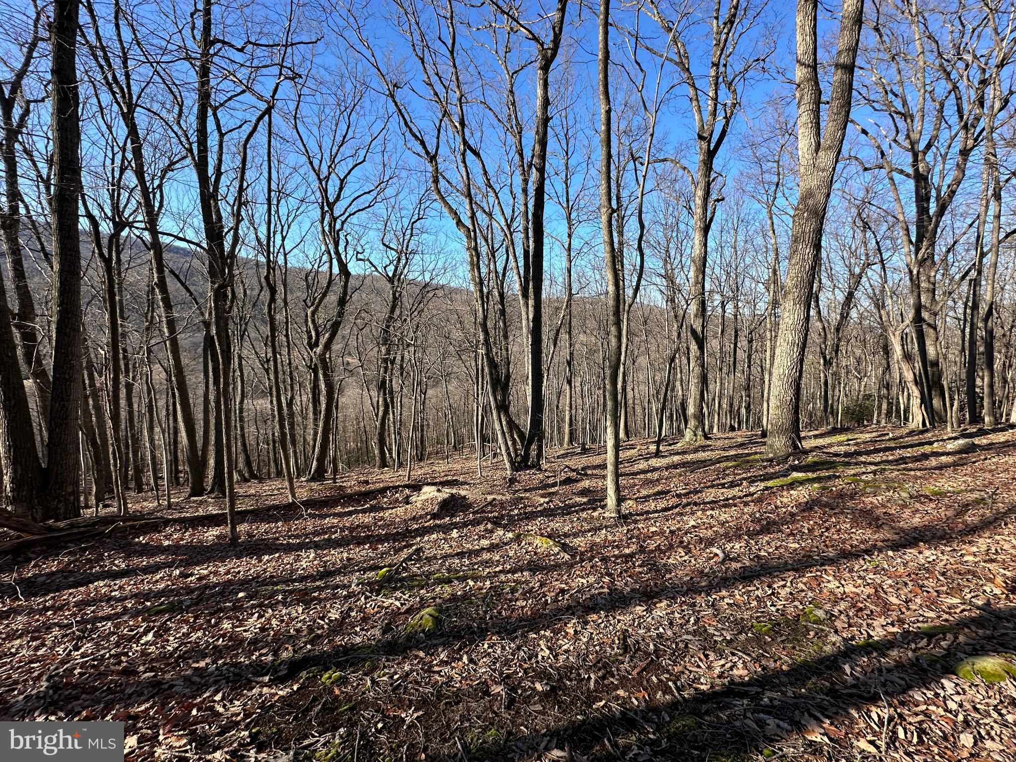 WALNUT BOTTOM HIDEAWAY - Land