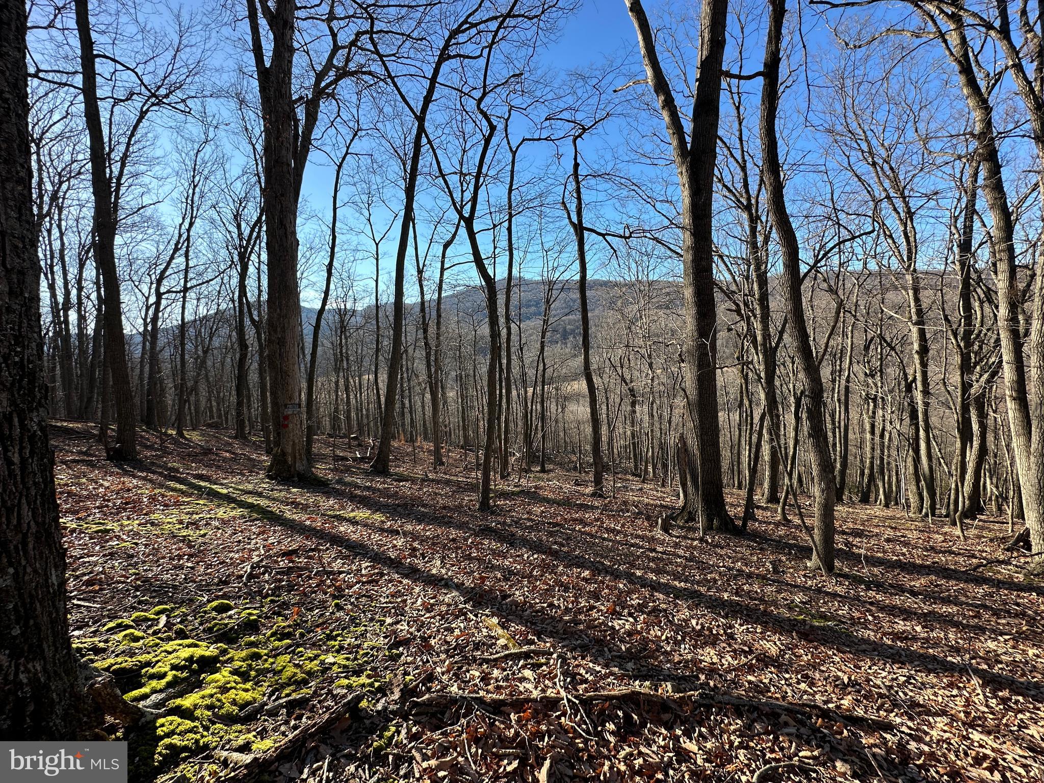 WALNUT BOTTOM HIDEAWAY - Land