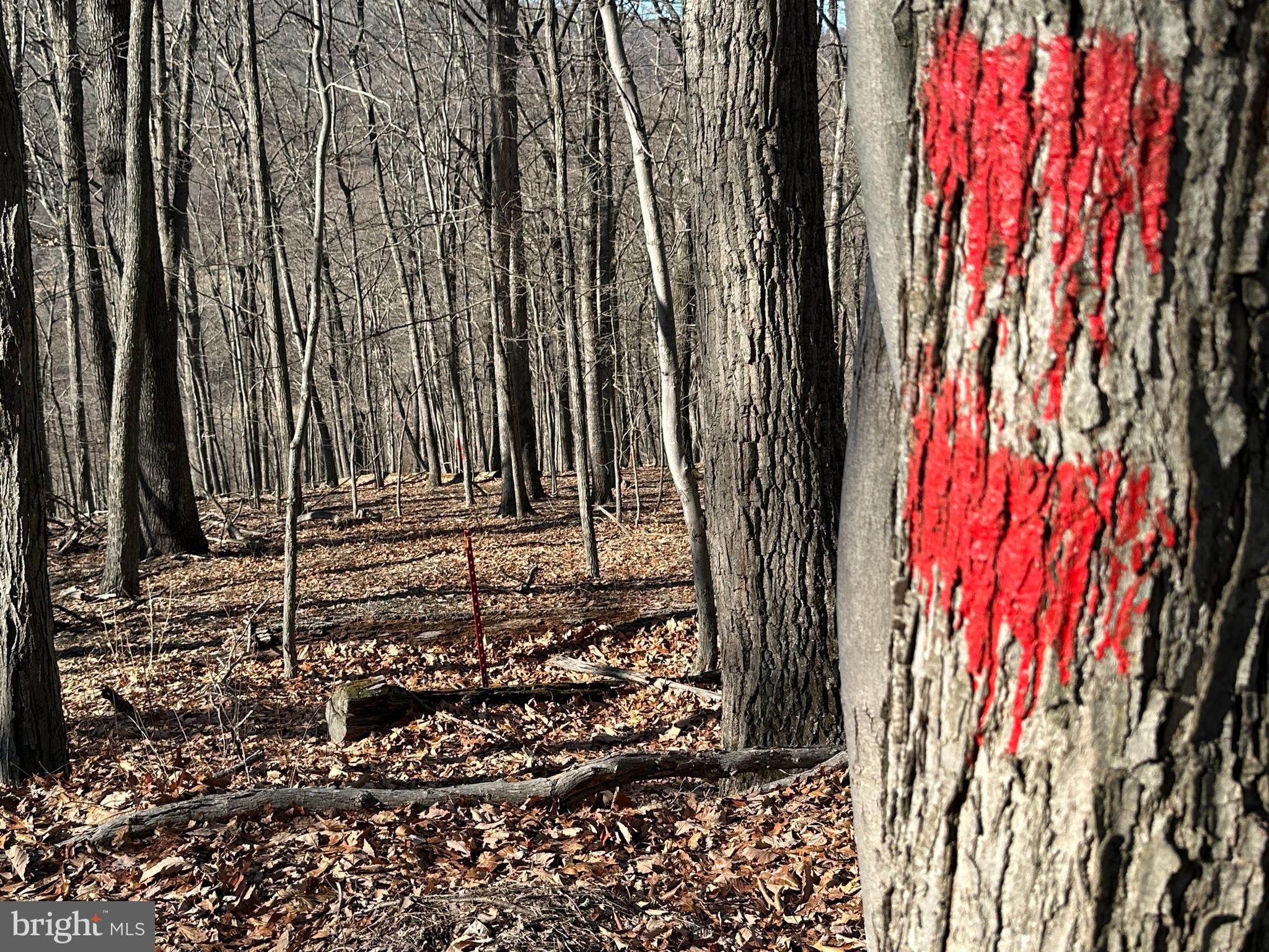 WALNUT BOTTOM HIDEAWAY - Land