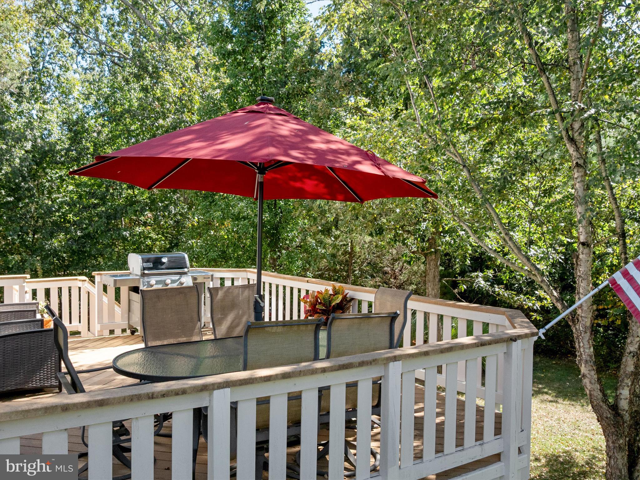 REGENCY AT DOMINION VALLEY - Residential