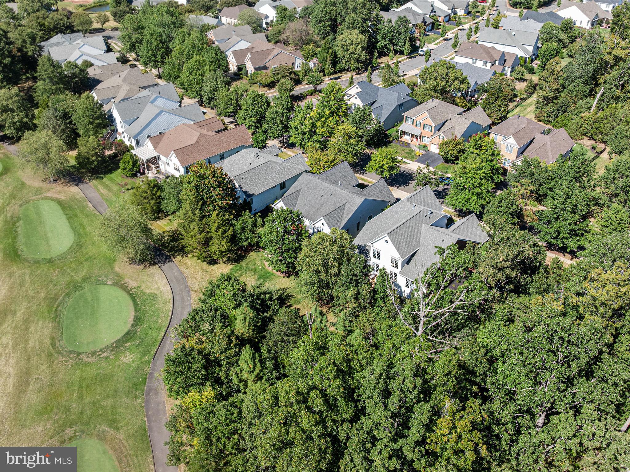 REGENCY AT DOMINION VALLEY - Residential