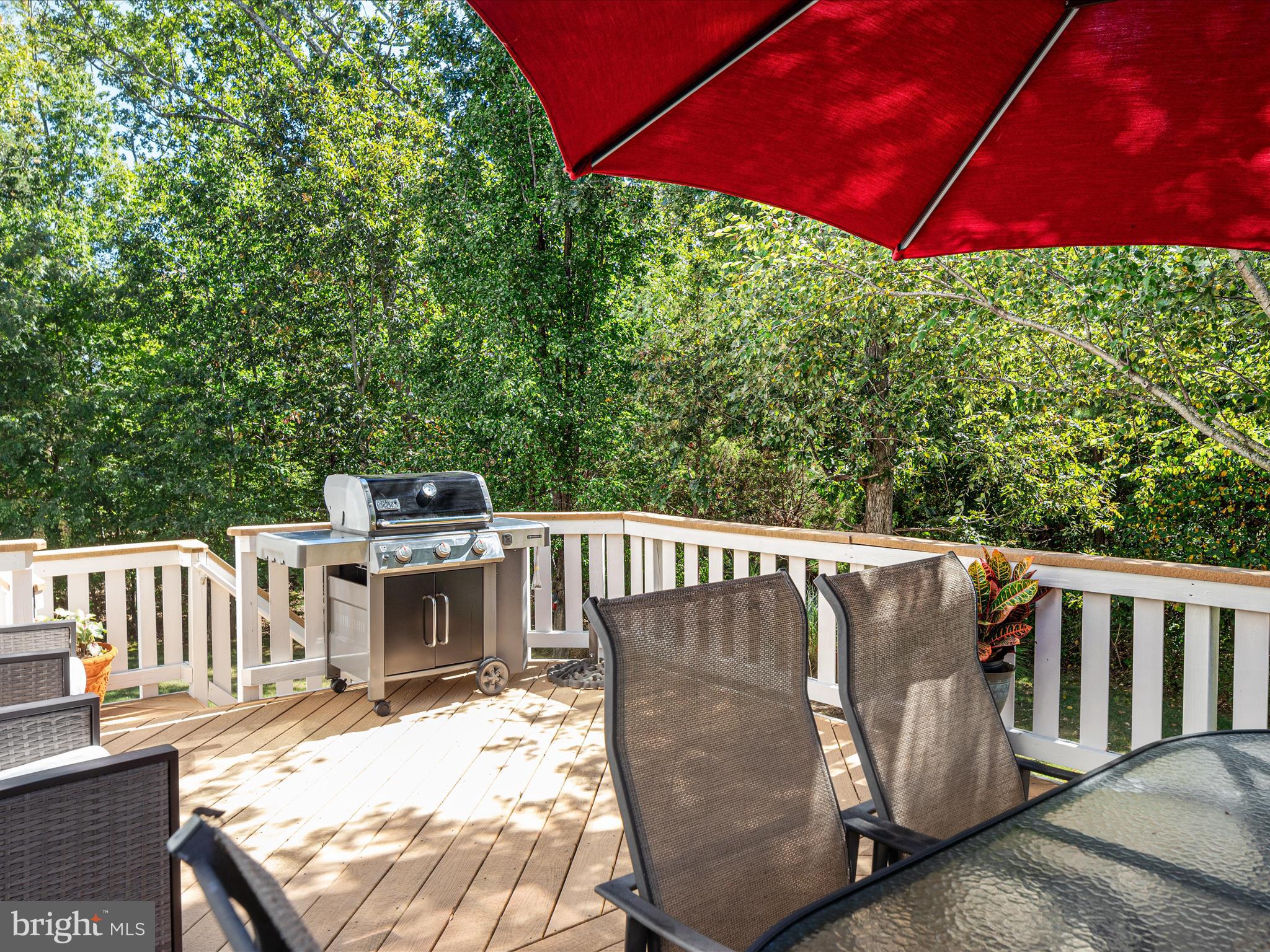 REGENCY AT DOMINION VALLEY - Residential