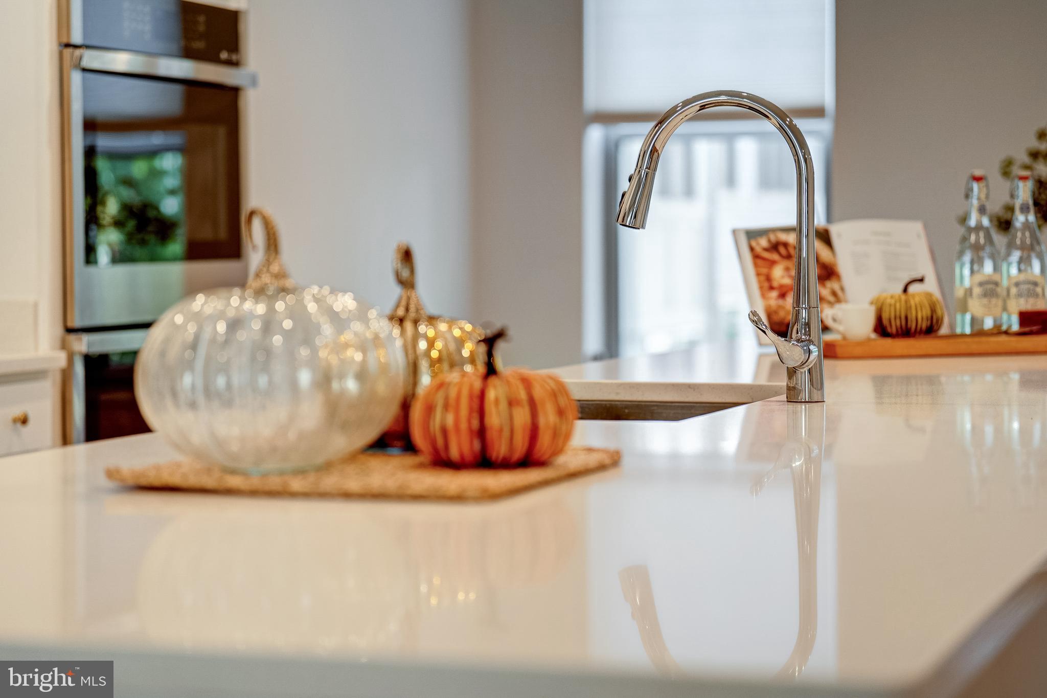 VILLAGE AT MANASSAS PARK - Residential