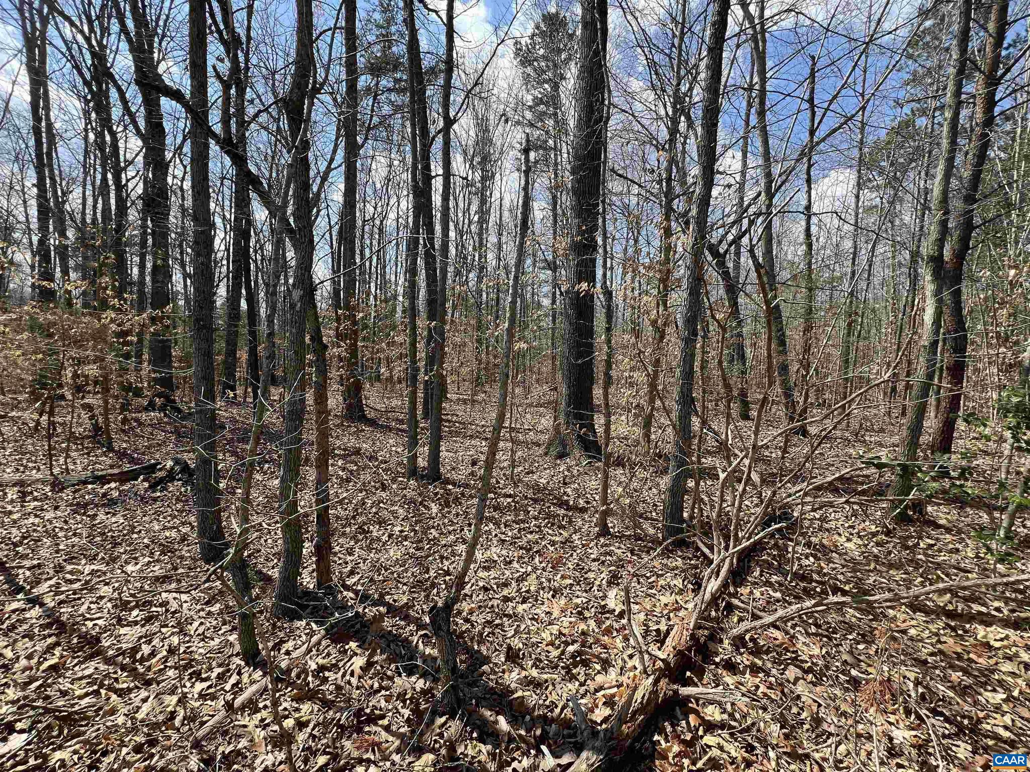 NONE AVAILABLE - Land