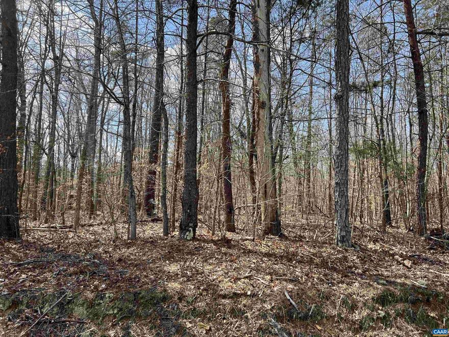 Bring your vision and build a dream home on a 2 acre beautiful lot with privacy in all directions. Great location between Zion Cross Roads and Interstate 64. Must See!! Close by to the Rivanna River for public access 10 minutes away if you like swimming, kayaking, and fishing.