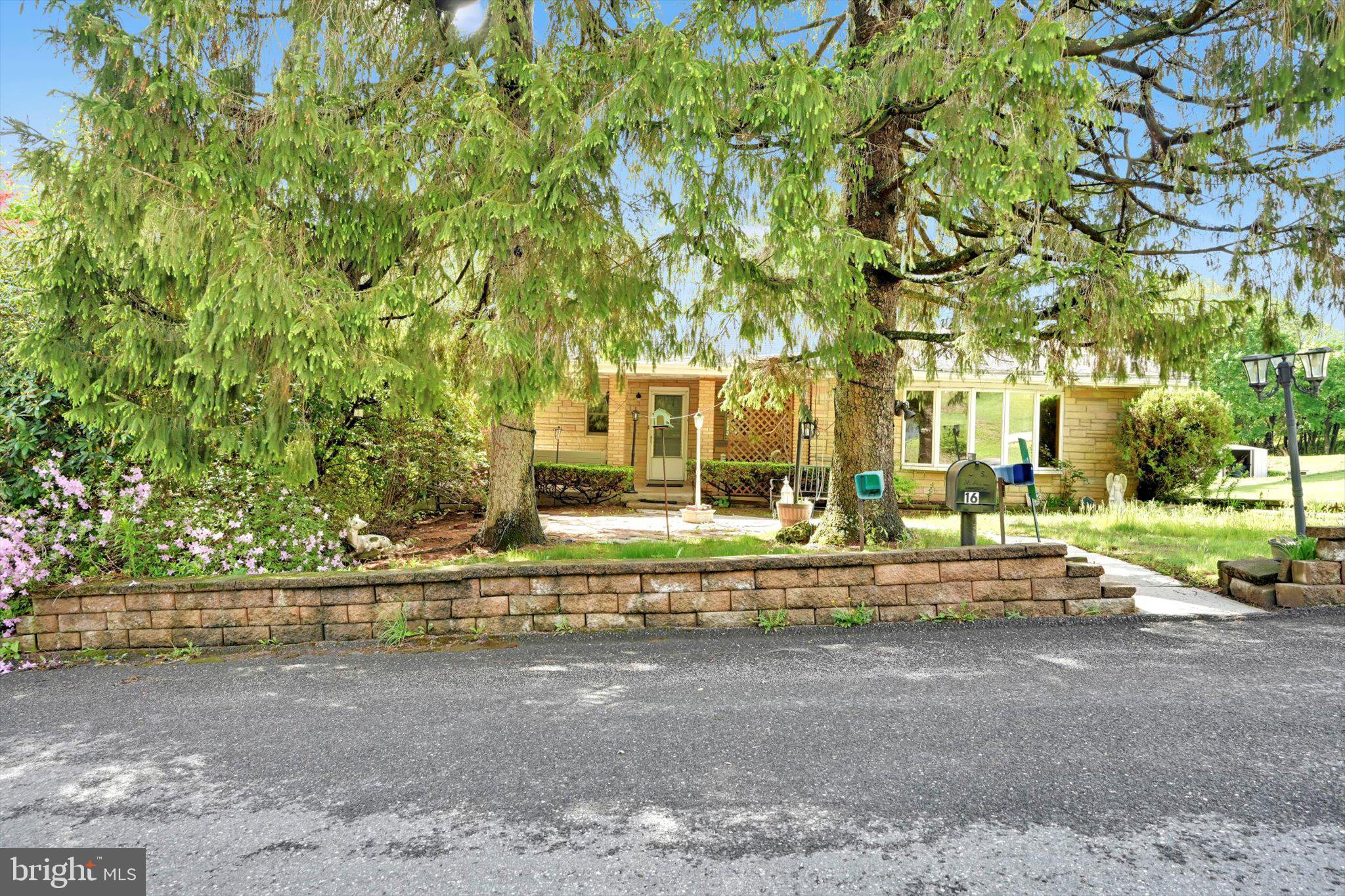 16 LOWER ROAD