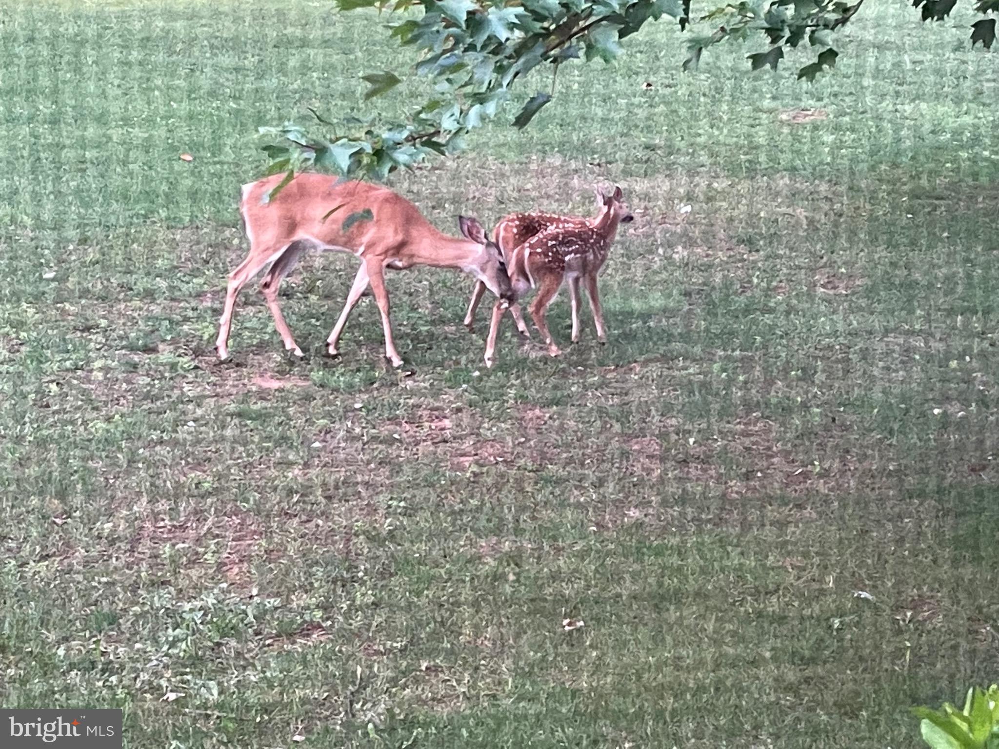 WINDSOR - Residential