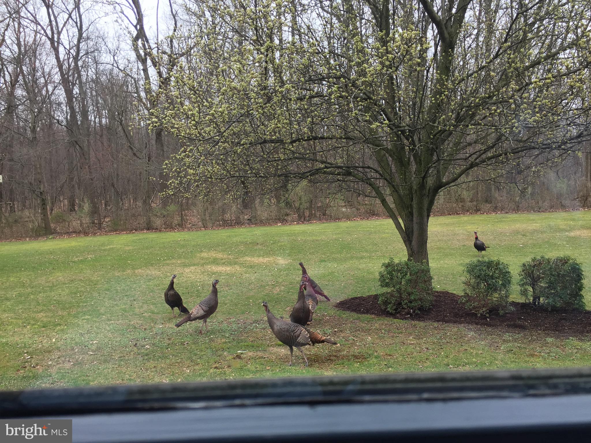 WINDSOR - Residential