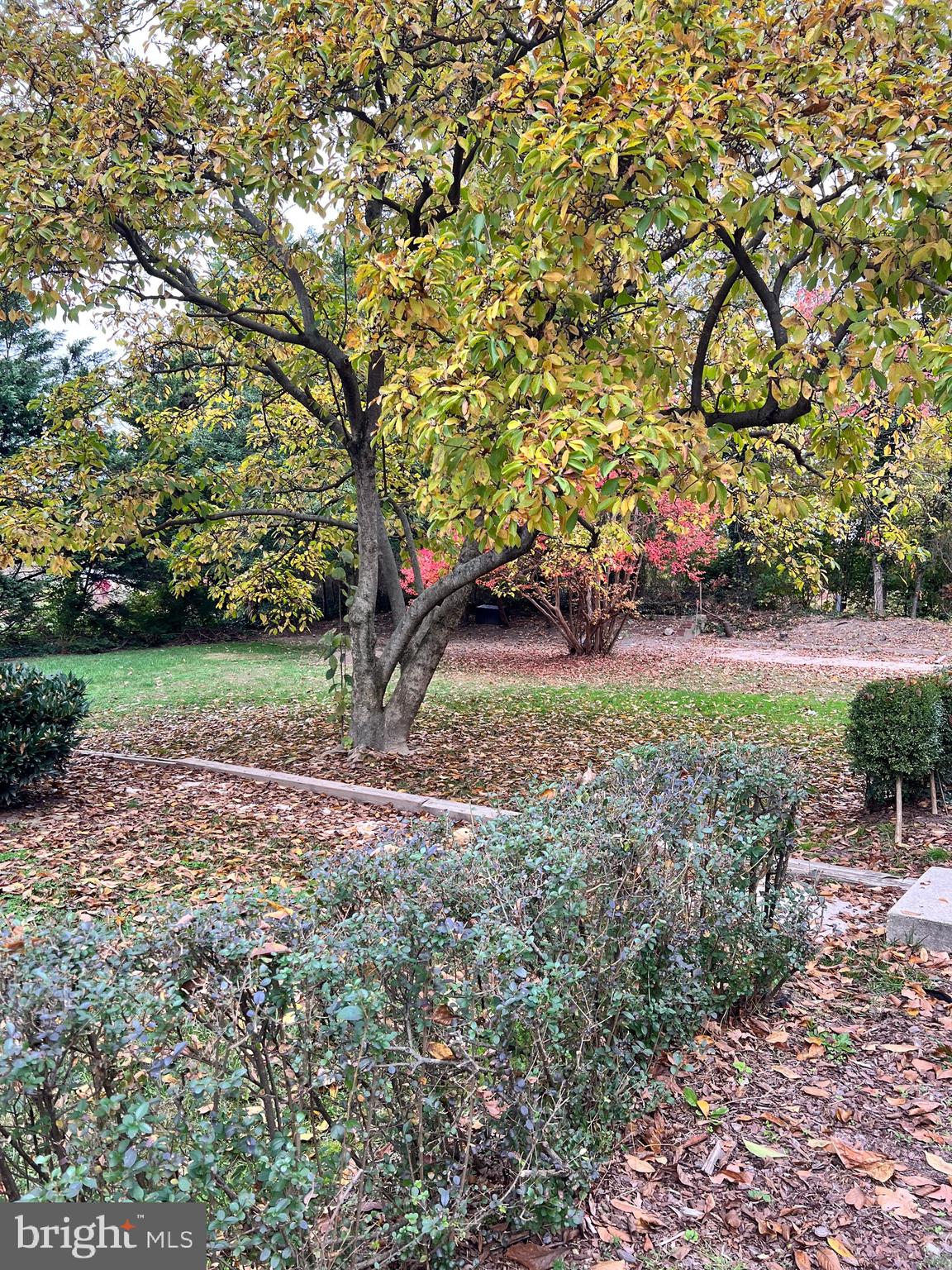 HOLLYWOOD - Residential Lease