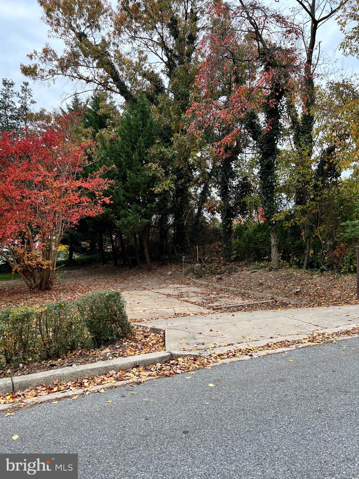 HOLLYWOOD - Residential Lease