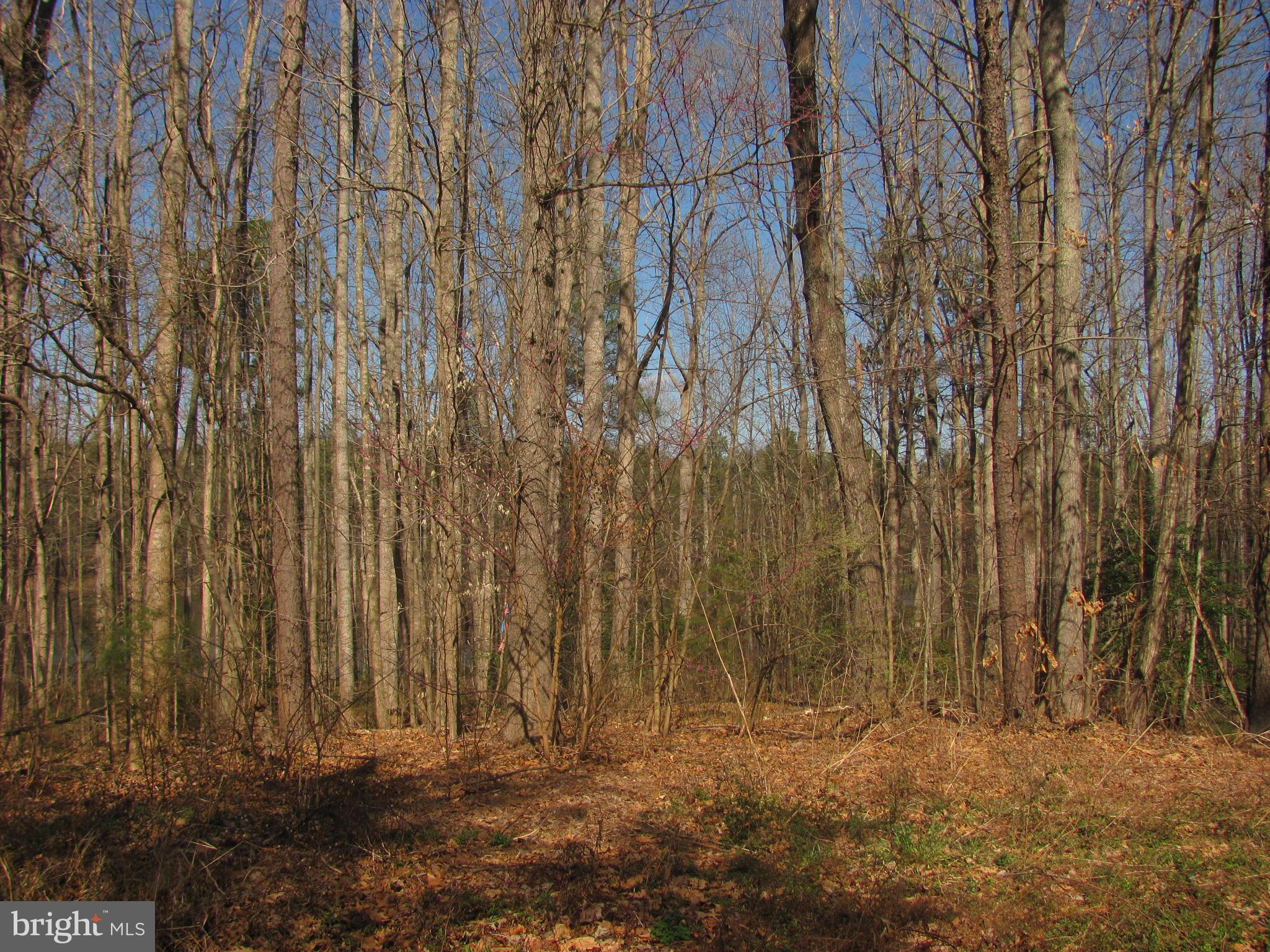 LAKE CAROLINE - Land