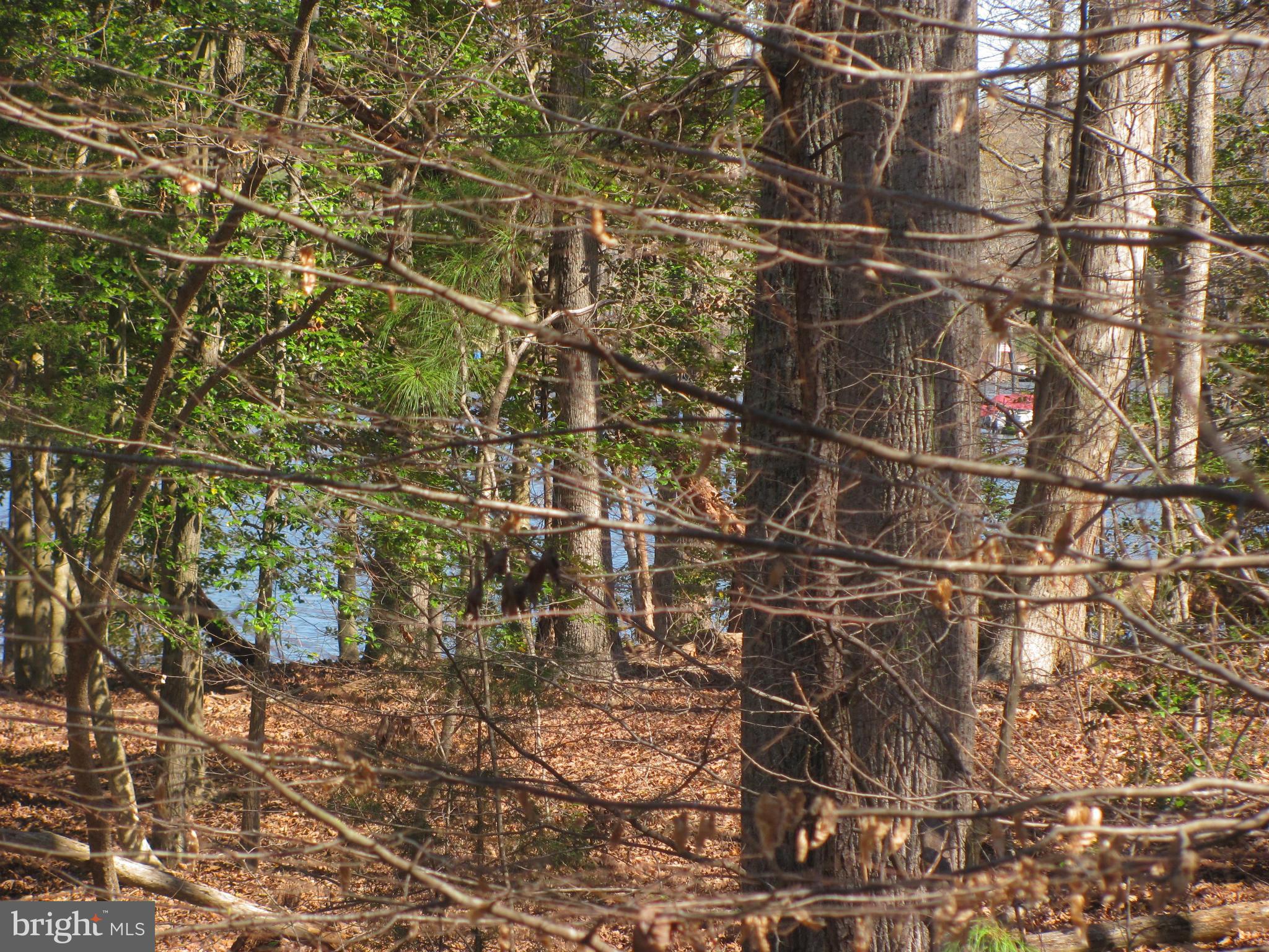 LAKE CAROLINE - Land